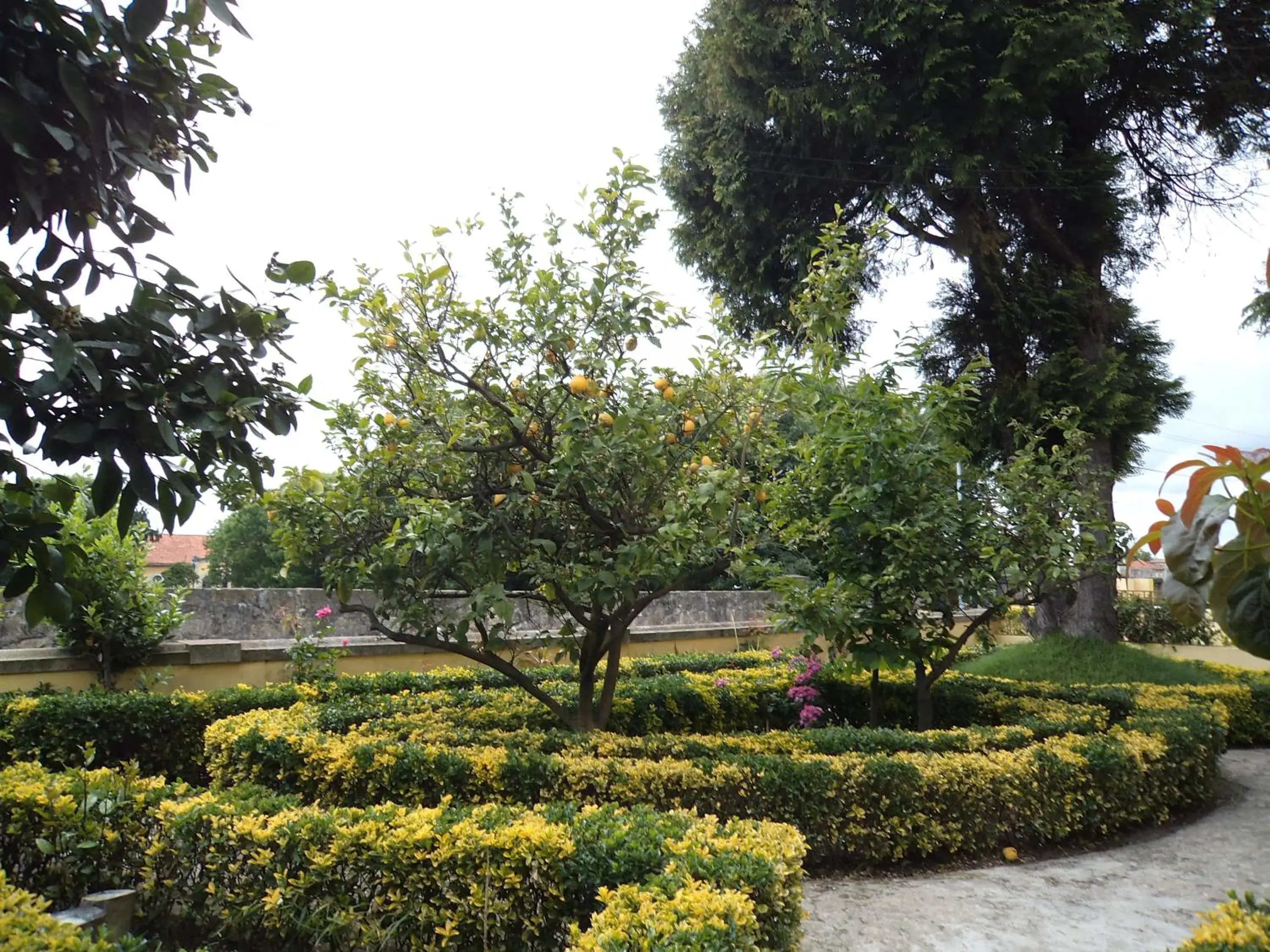 Facade/entrance, Garden in Hotel Porto Nobre