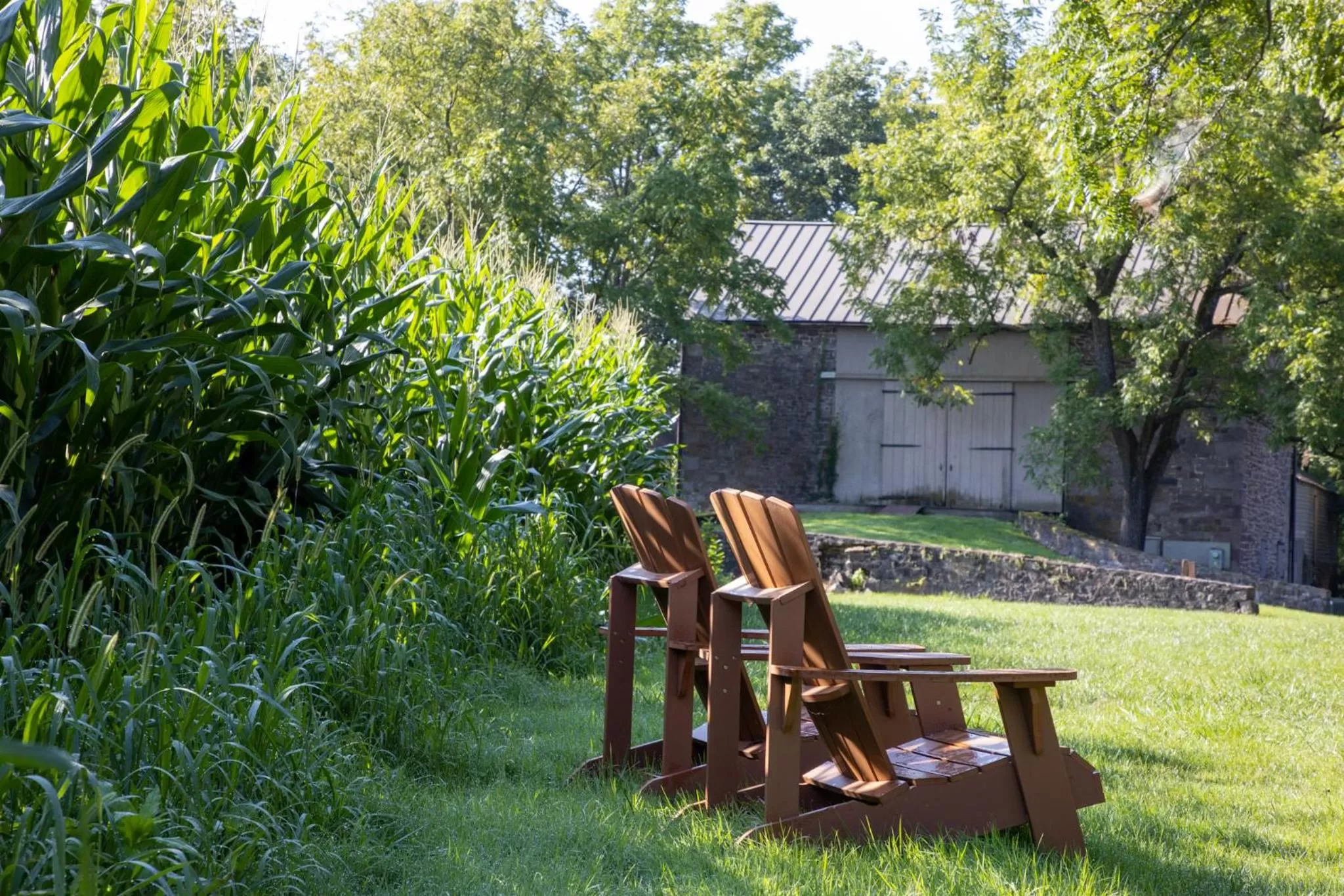 Garden in Woolverton Inn