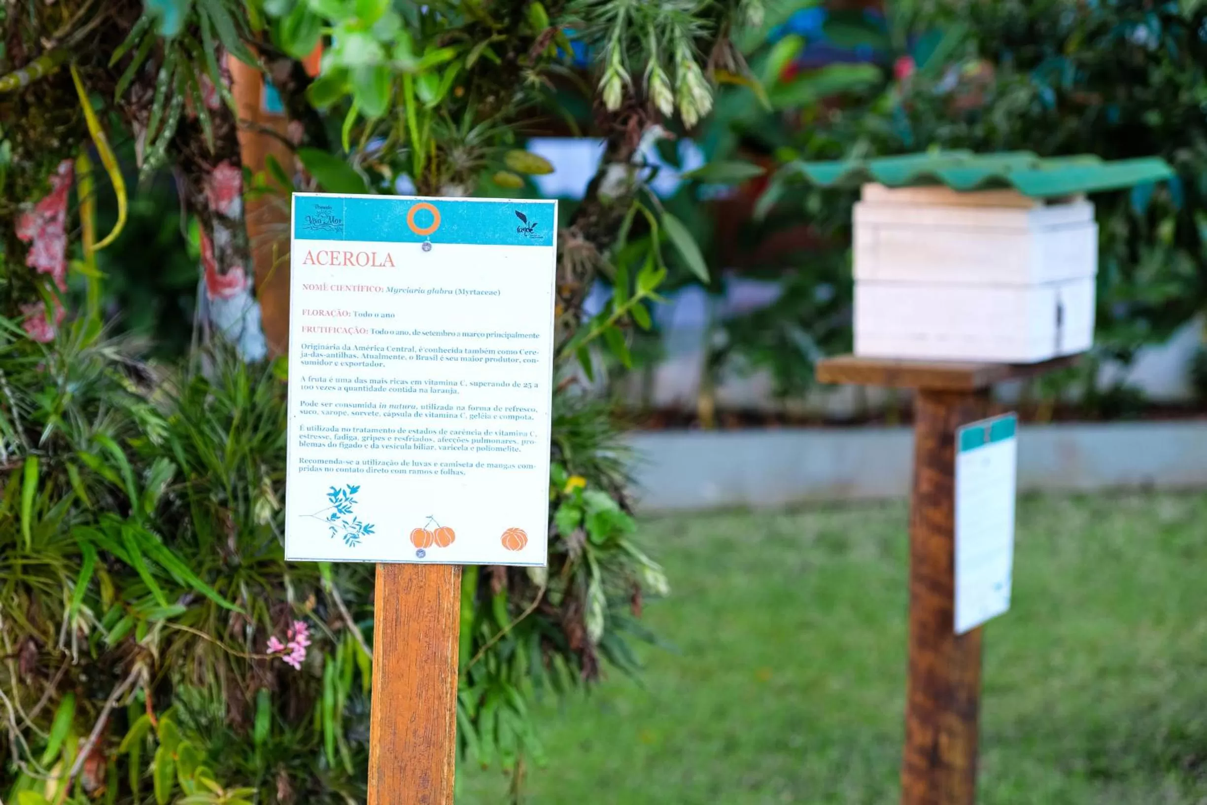 Property building in Pousada Vivamar