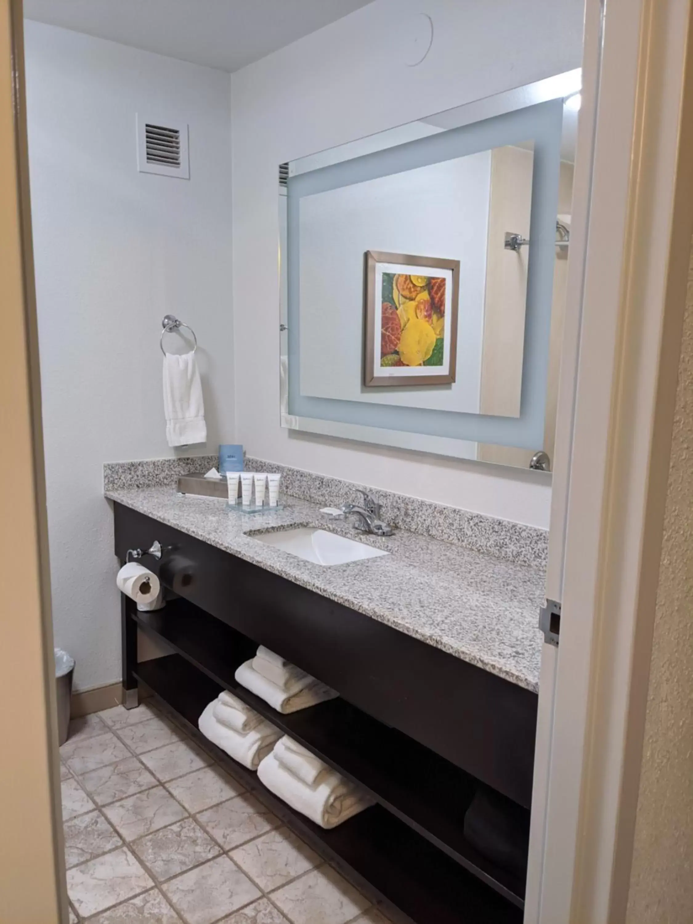 Bathroom in Radisson Hotel Denver Central