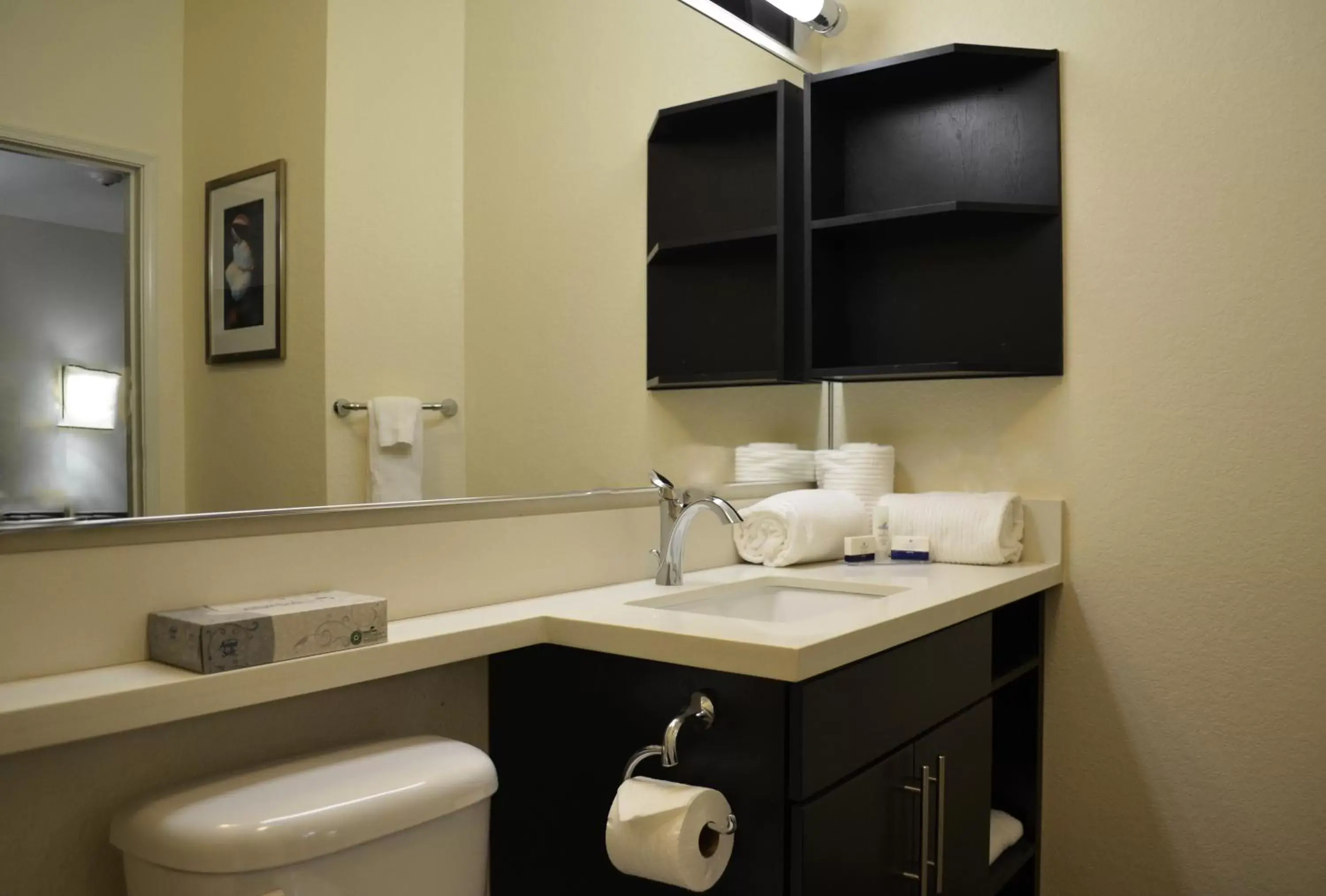 Bathroom in Candlewood Suites Greenville, an IHG Hotel