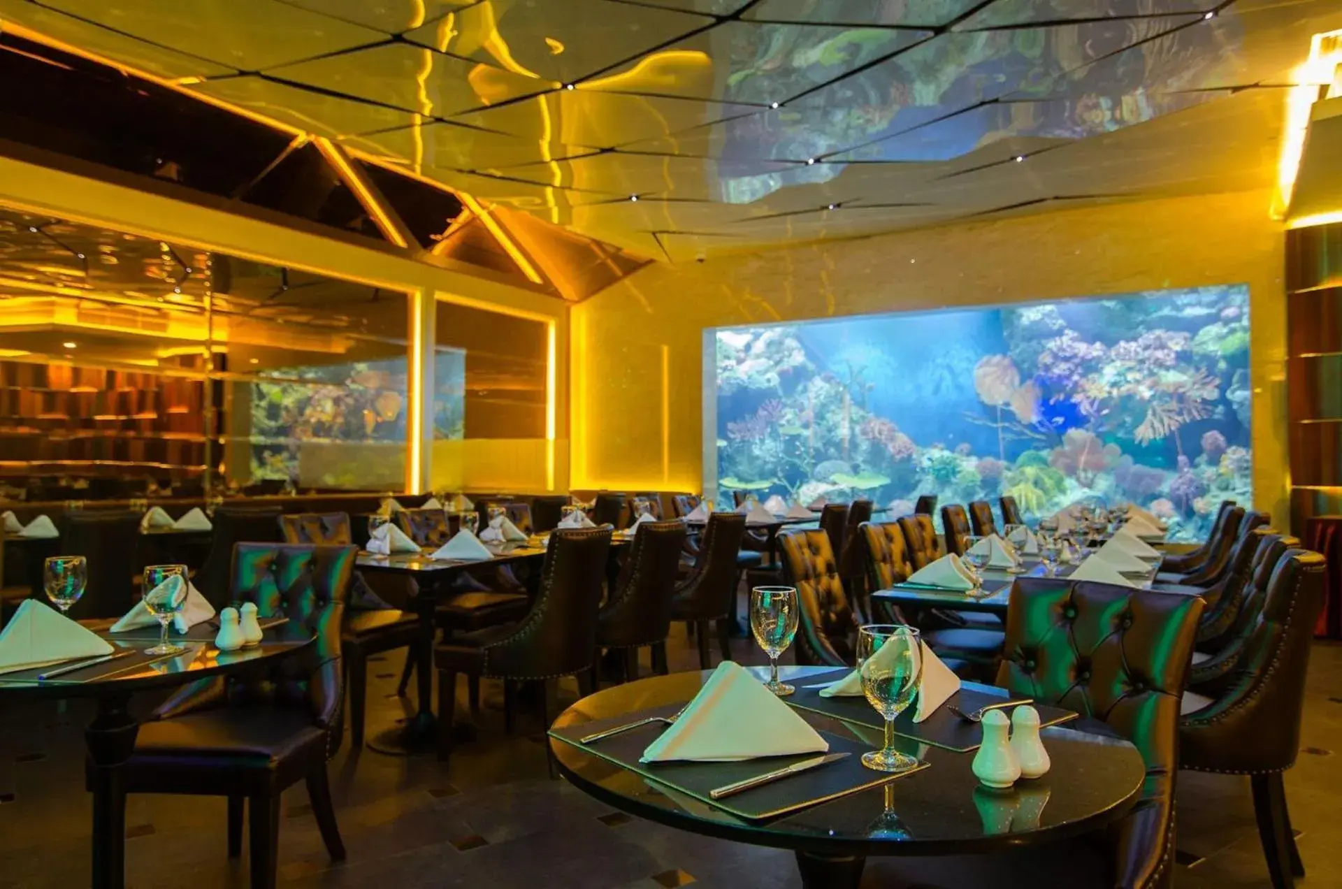 Restaurant/places to eat in Amaranta Hotel Restaurant/places to eat in Amaranta Hotel