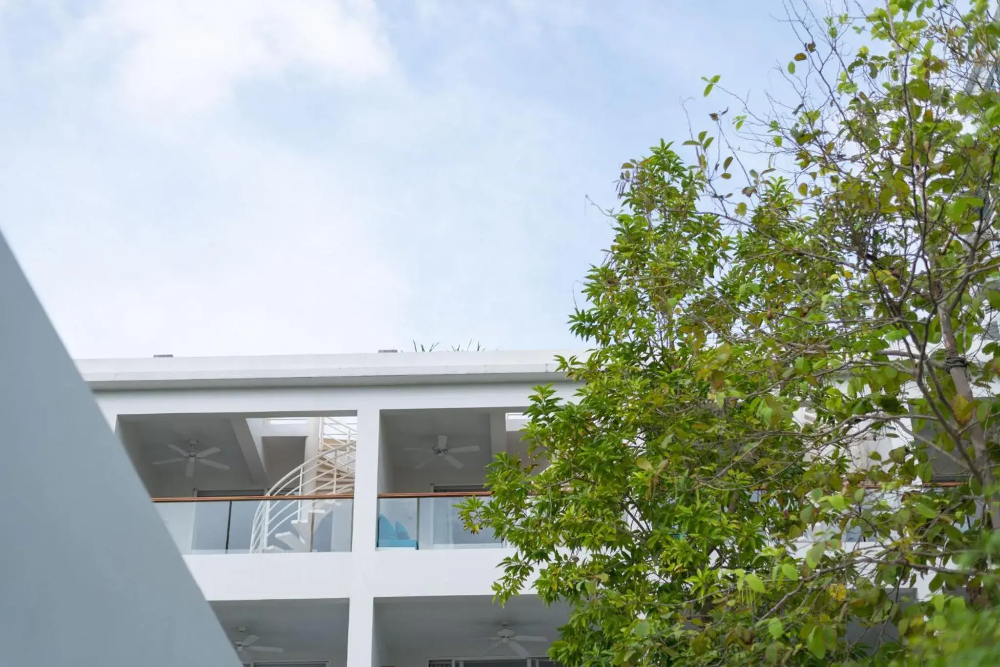 Property building in Nap Patong Property building in Nap Patong