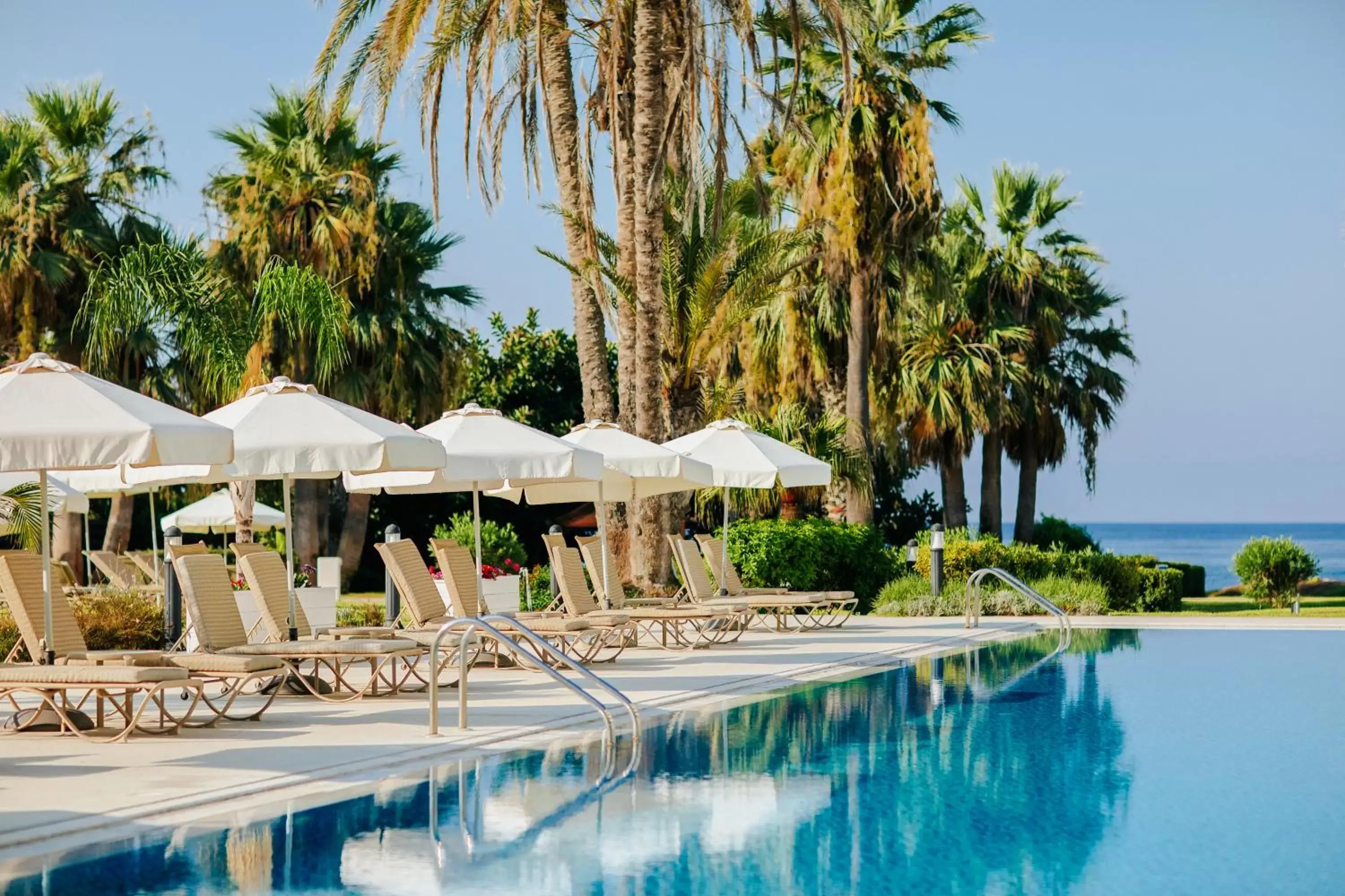 Swimming Pool in Louis Imperial Beach