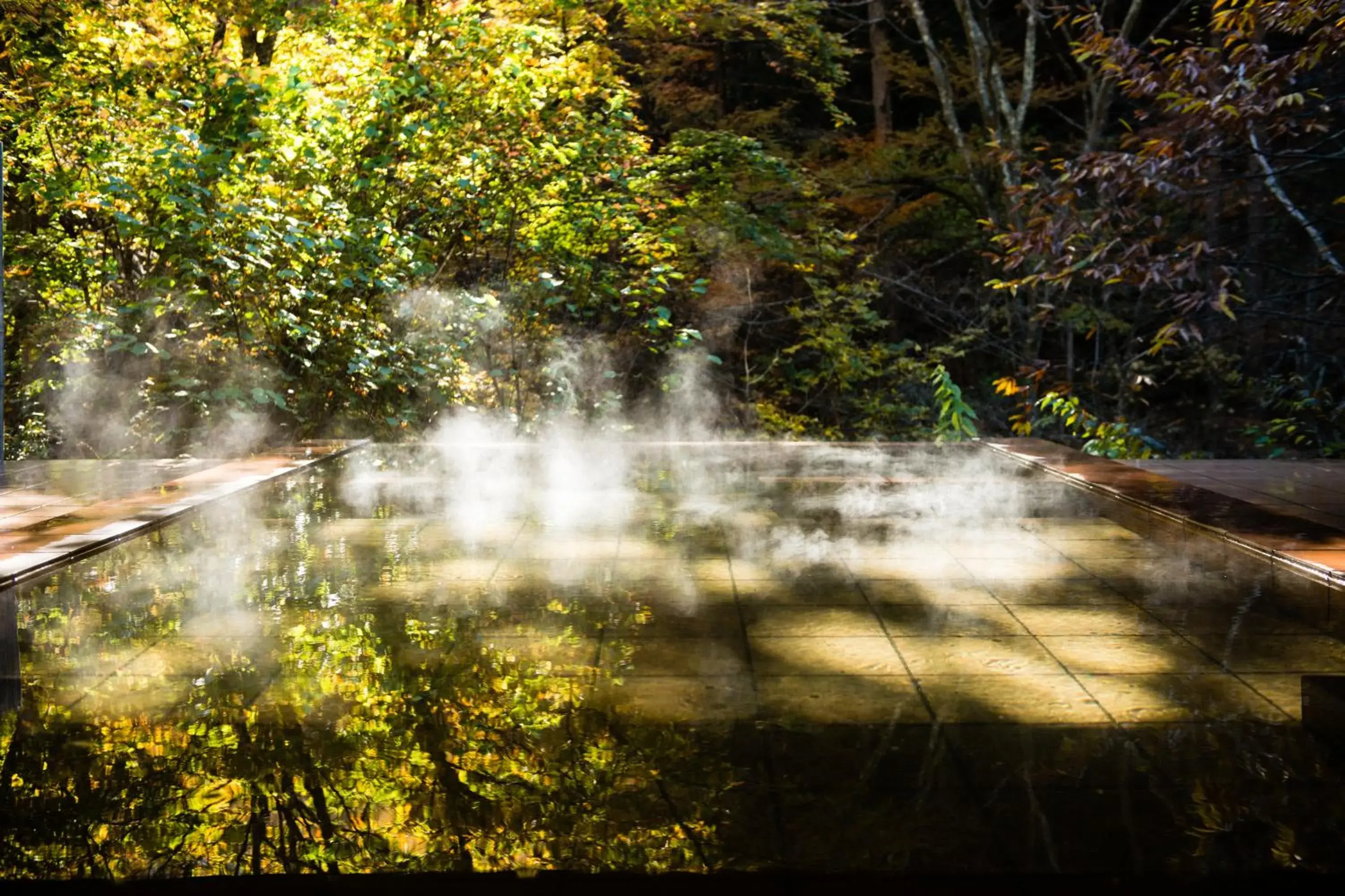 Patio, Natural Landscape in Myojinkan Ryokan