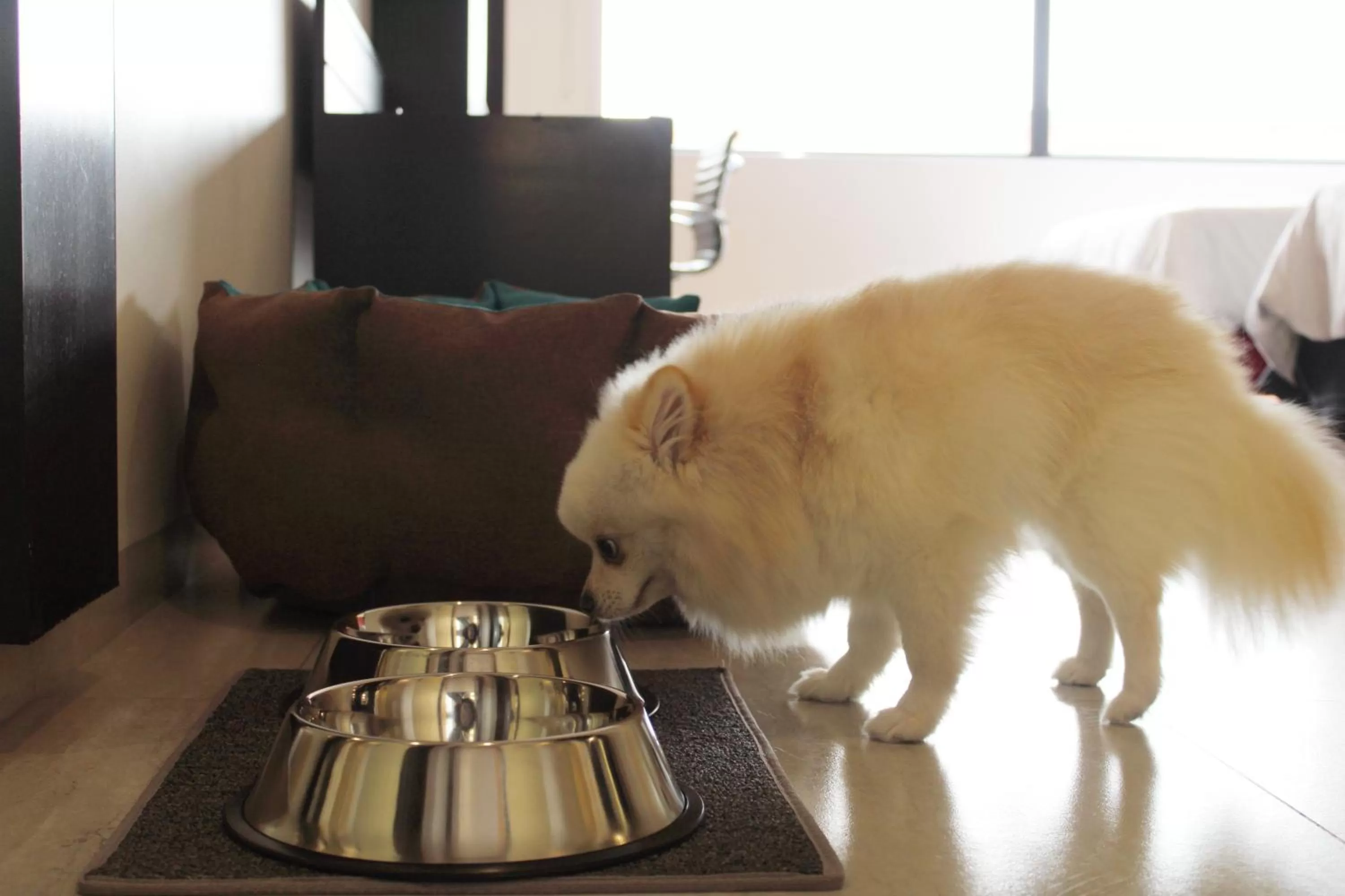 Holiday Inn Mexico Dali Airport by IHG