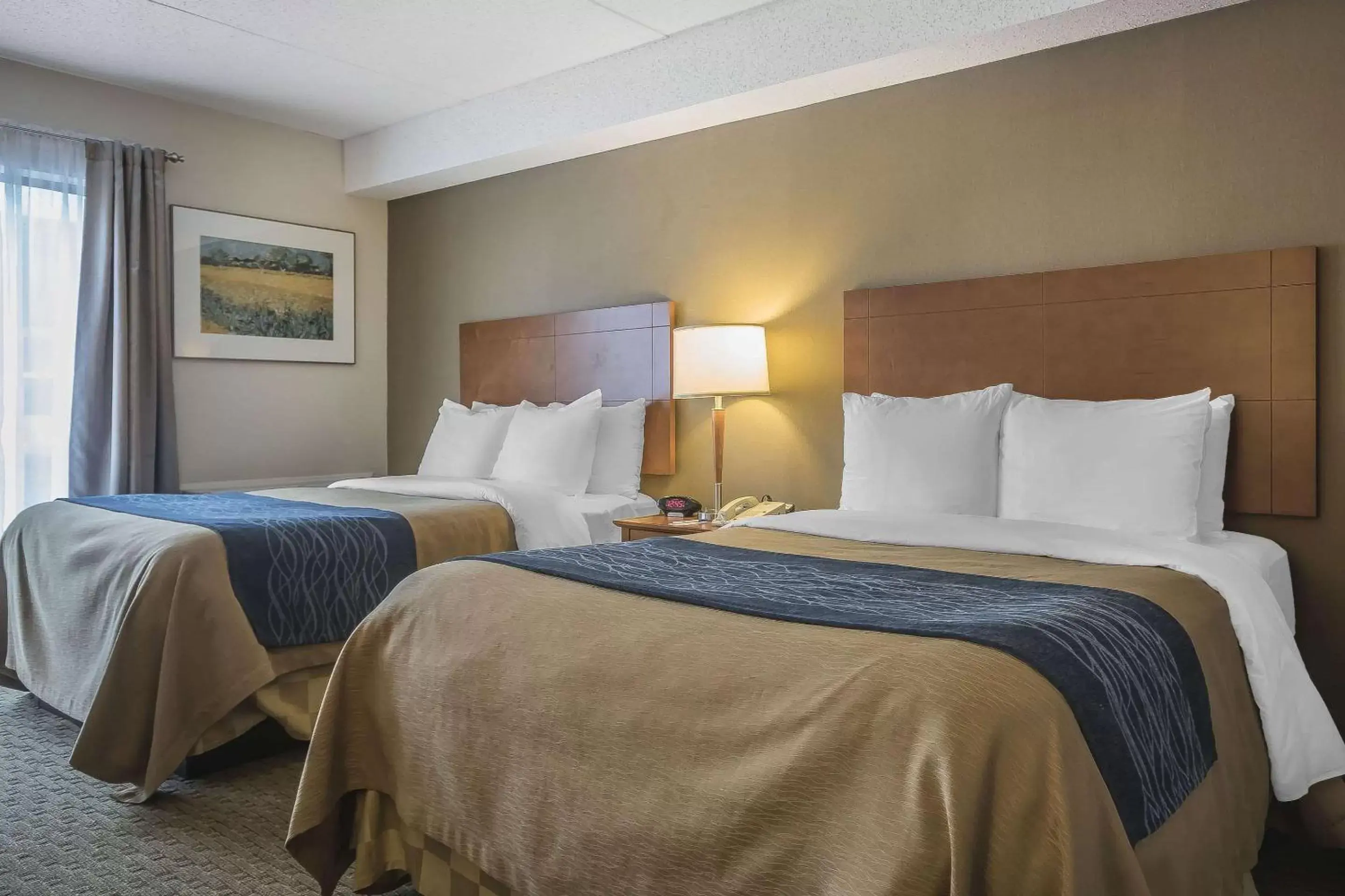 Photo of the whole room, Bed in Comfort Inn Chilliwack