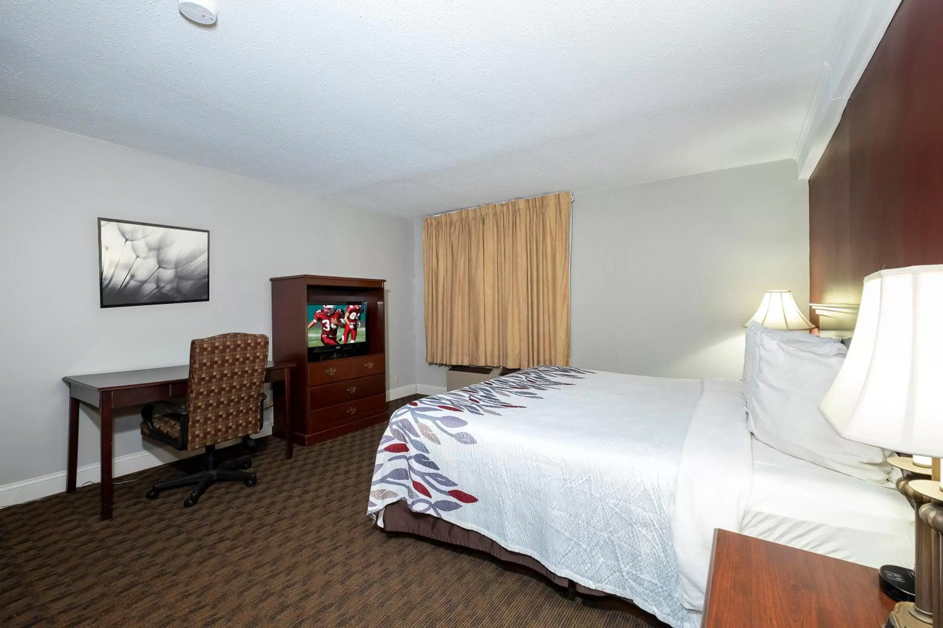 Photo of the whole room, Bed in Red Roof Inn & Suites Hazleton