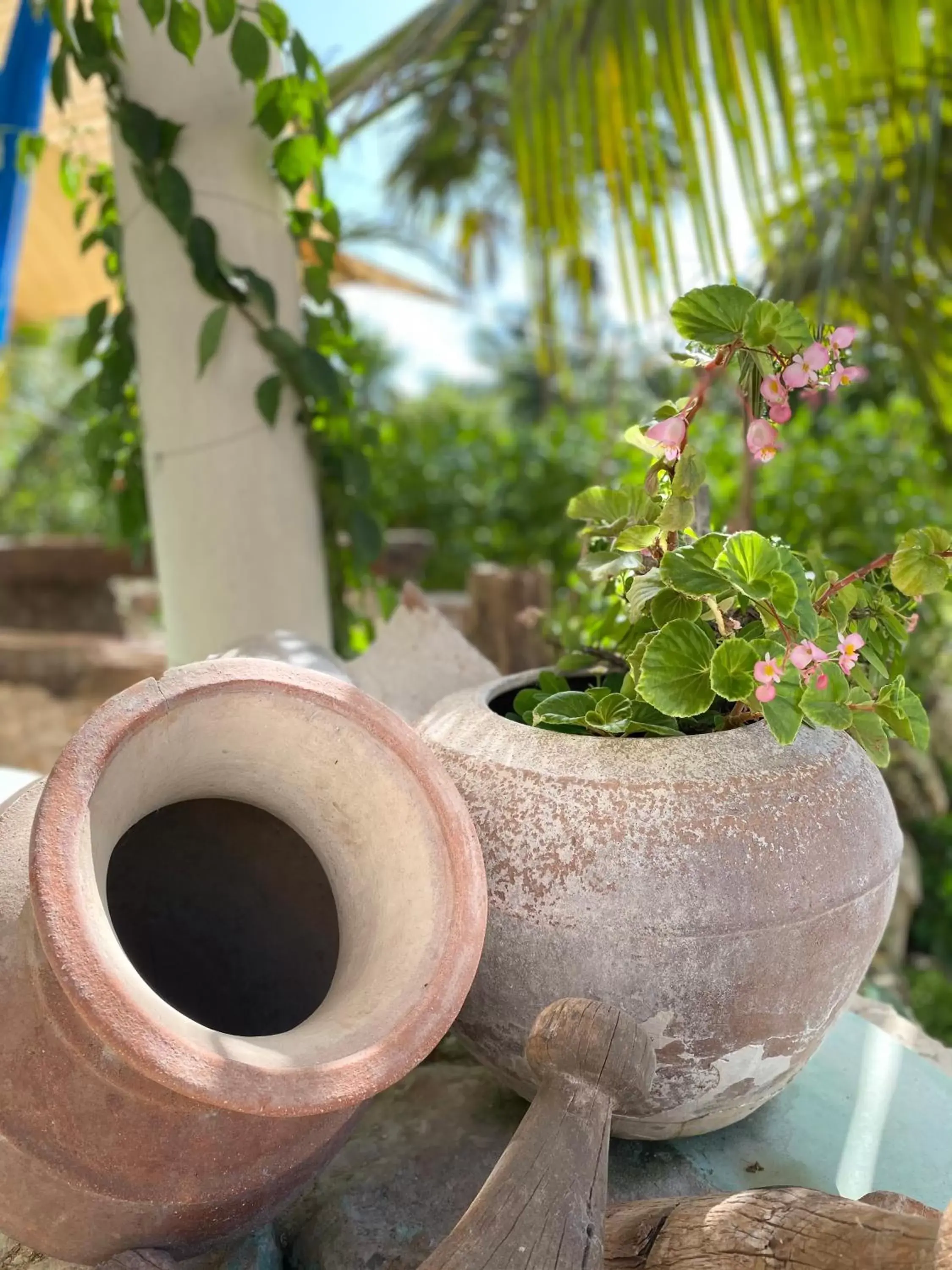 Decorative detail in Casa Mia El Cuyo Eco Beach Boutique Hotel