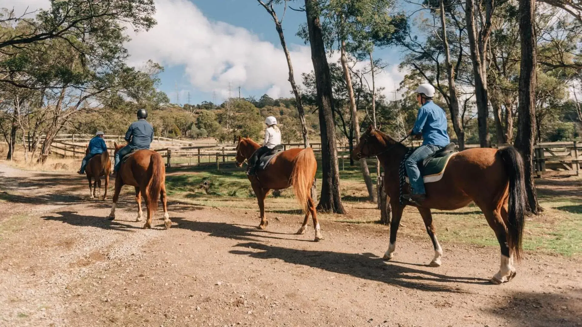 Activities, Horseback Riding in Country Club Tasmania