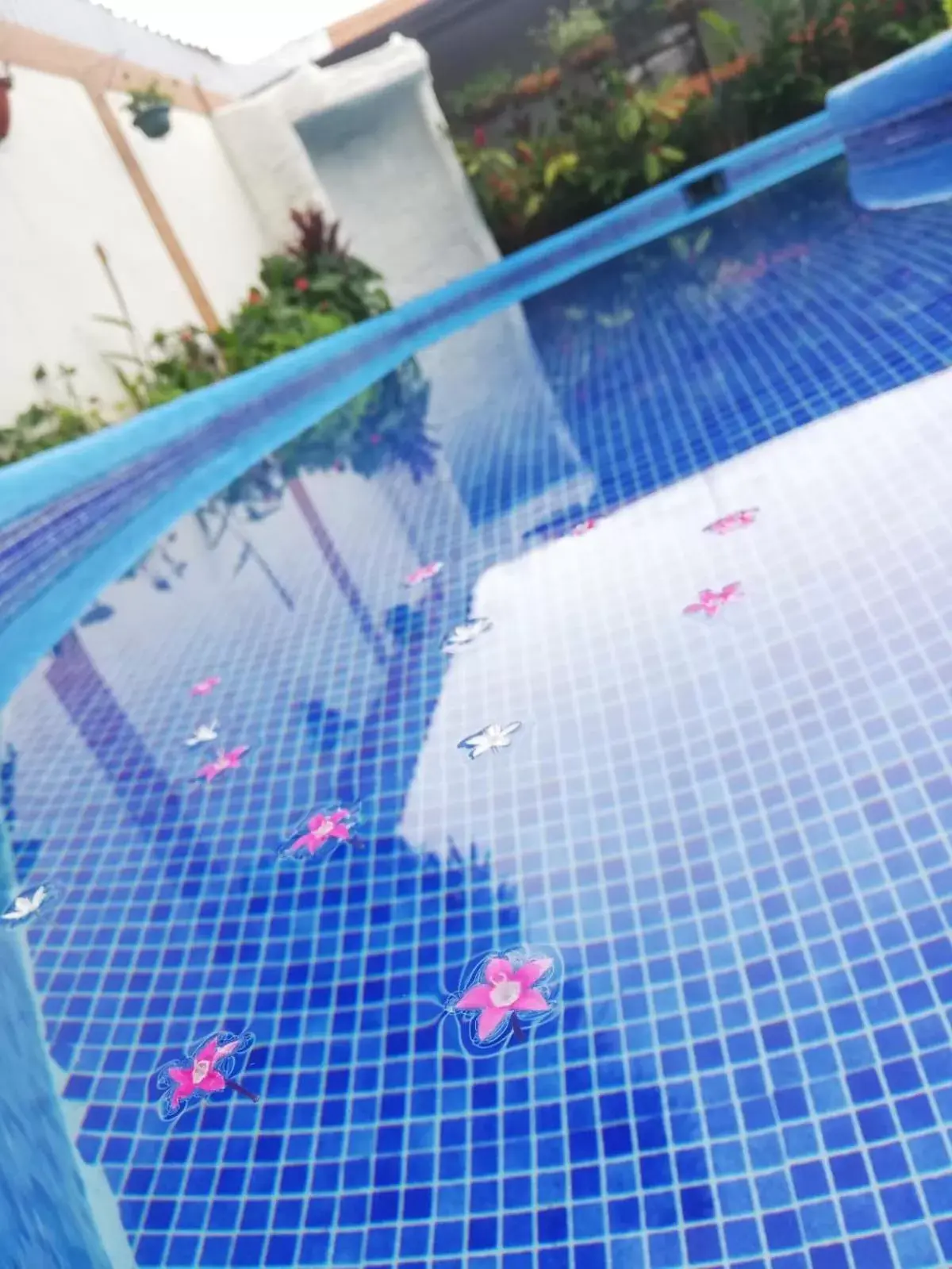 Swimming Pool in Berlor Airport Inn