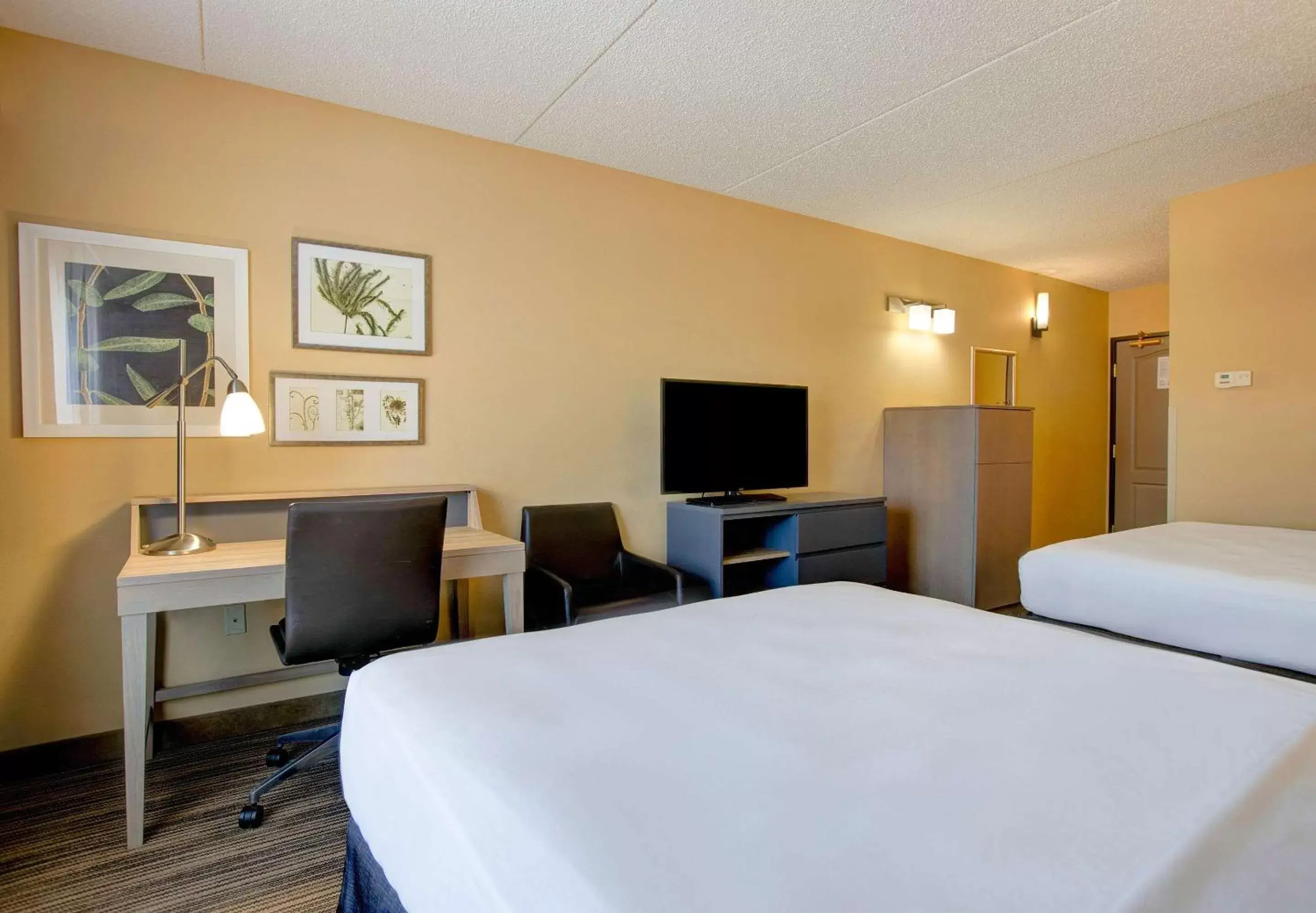 Photo of the whole room in Comfort Inn & Suites St. Paul Northeast