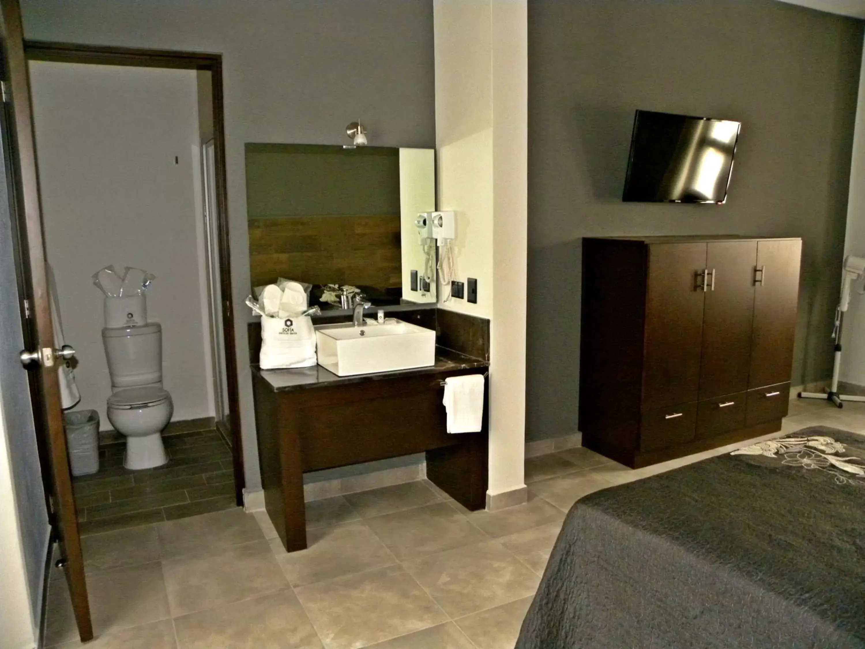 Bedroom, Bathroom in Hotel Sofia