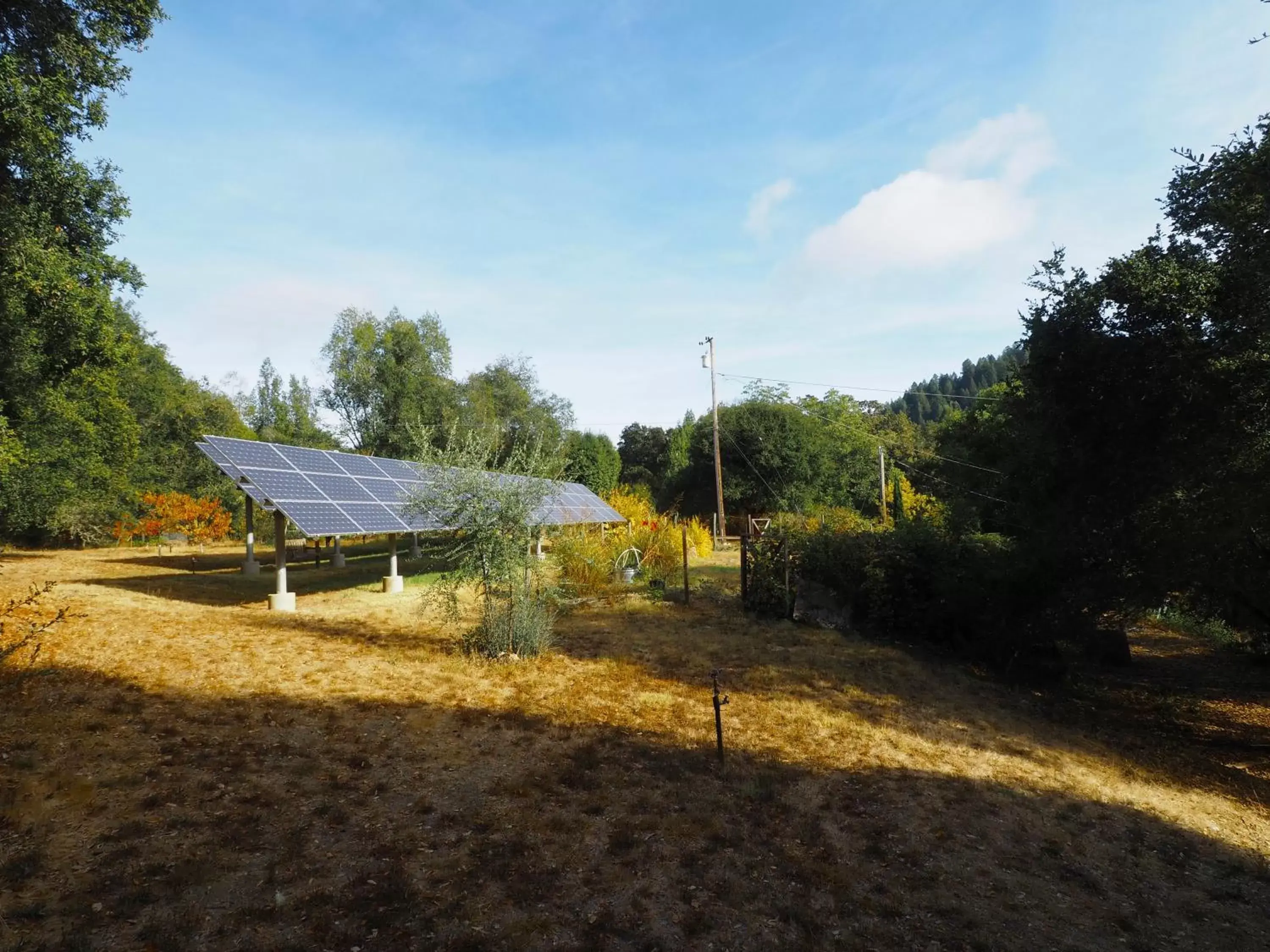 Garden, Property Building in Mine and Farm, The Inn at Guerneville, CA