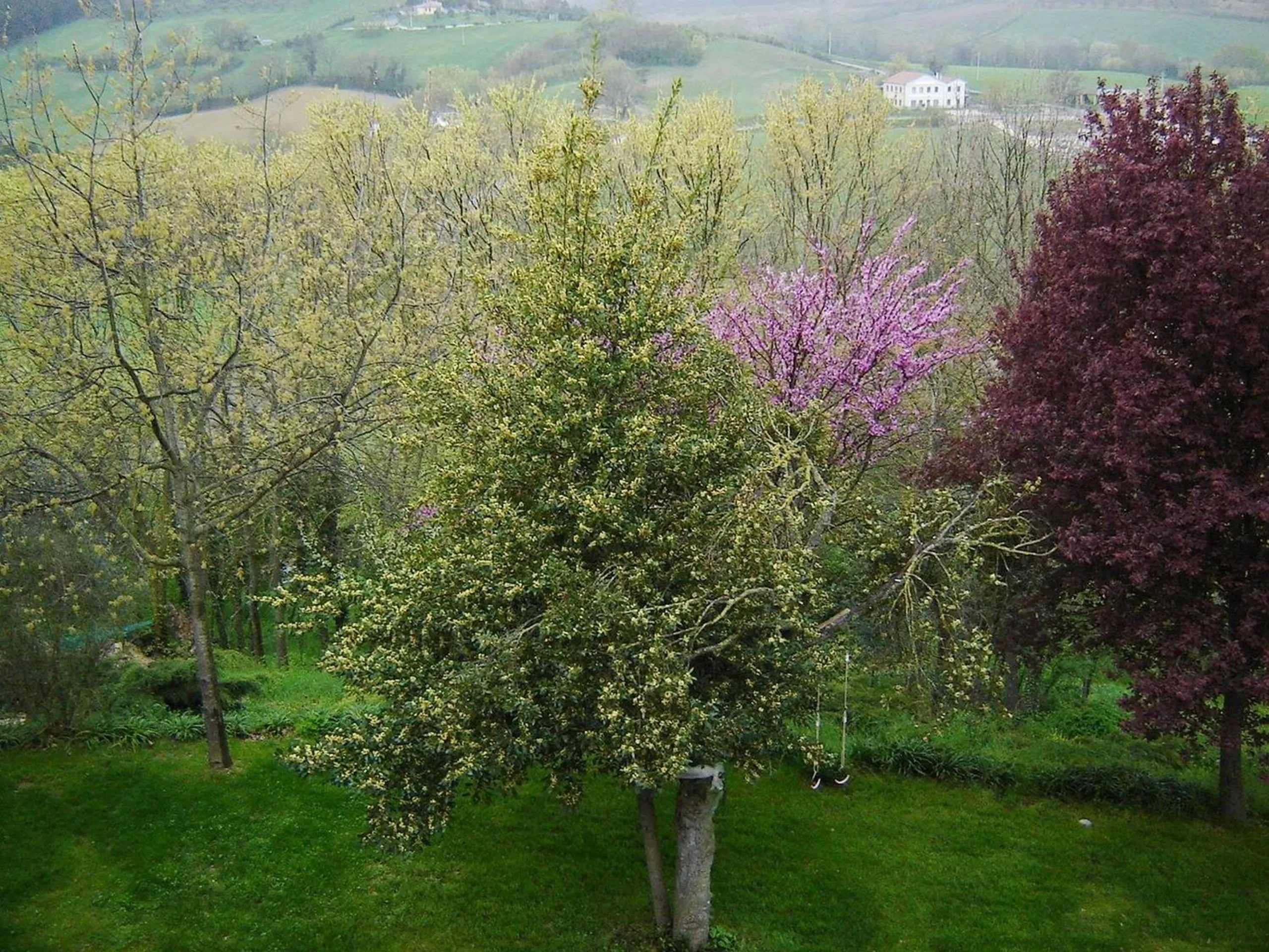View (from property/room) in Casale del Monsignore