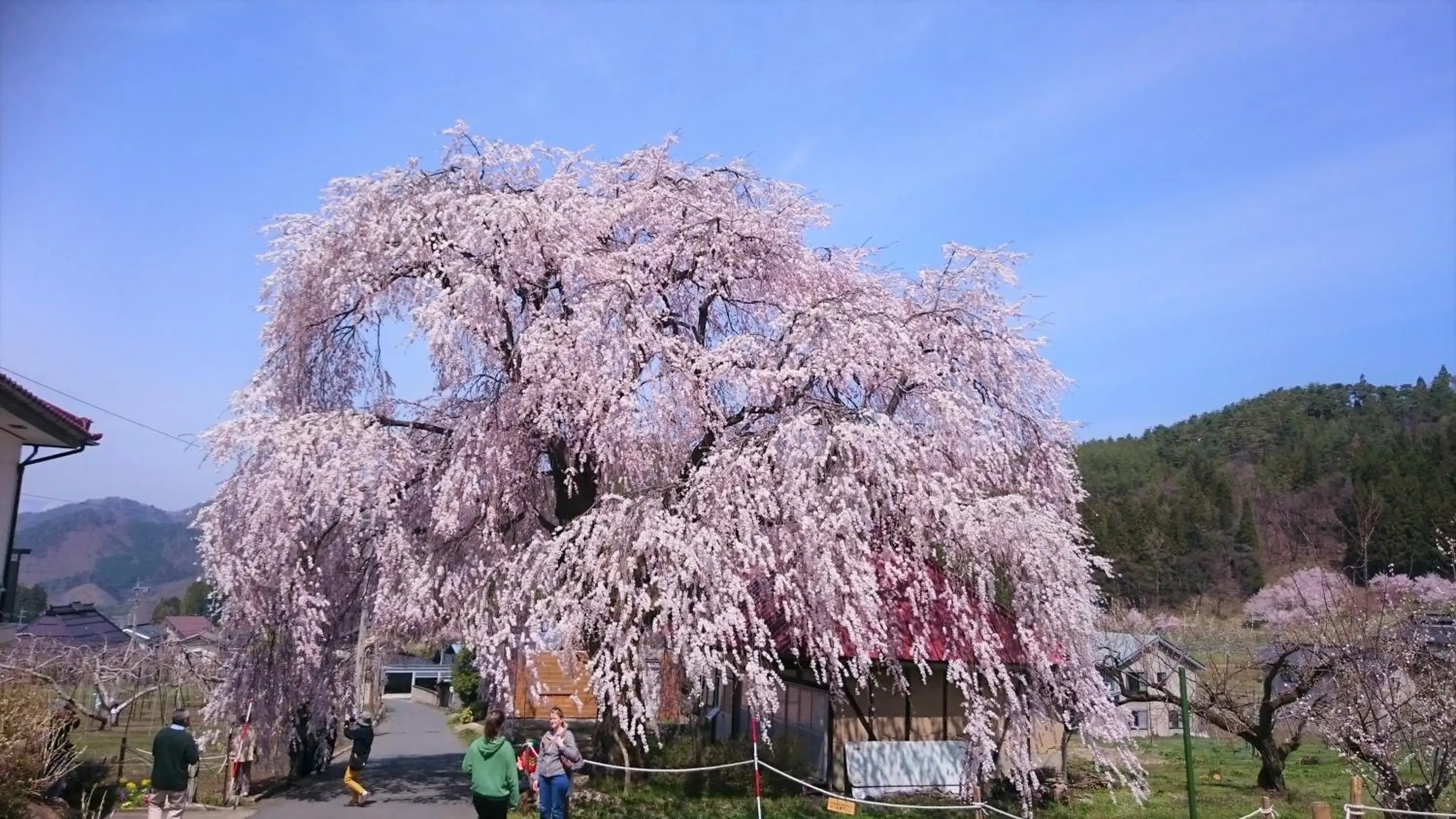 Nearby landmark in Ryokan Warabino