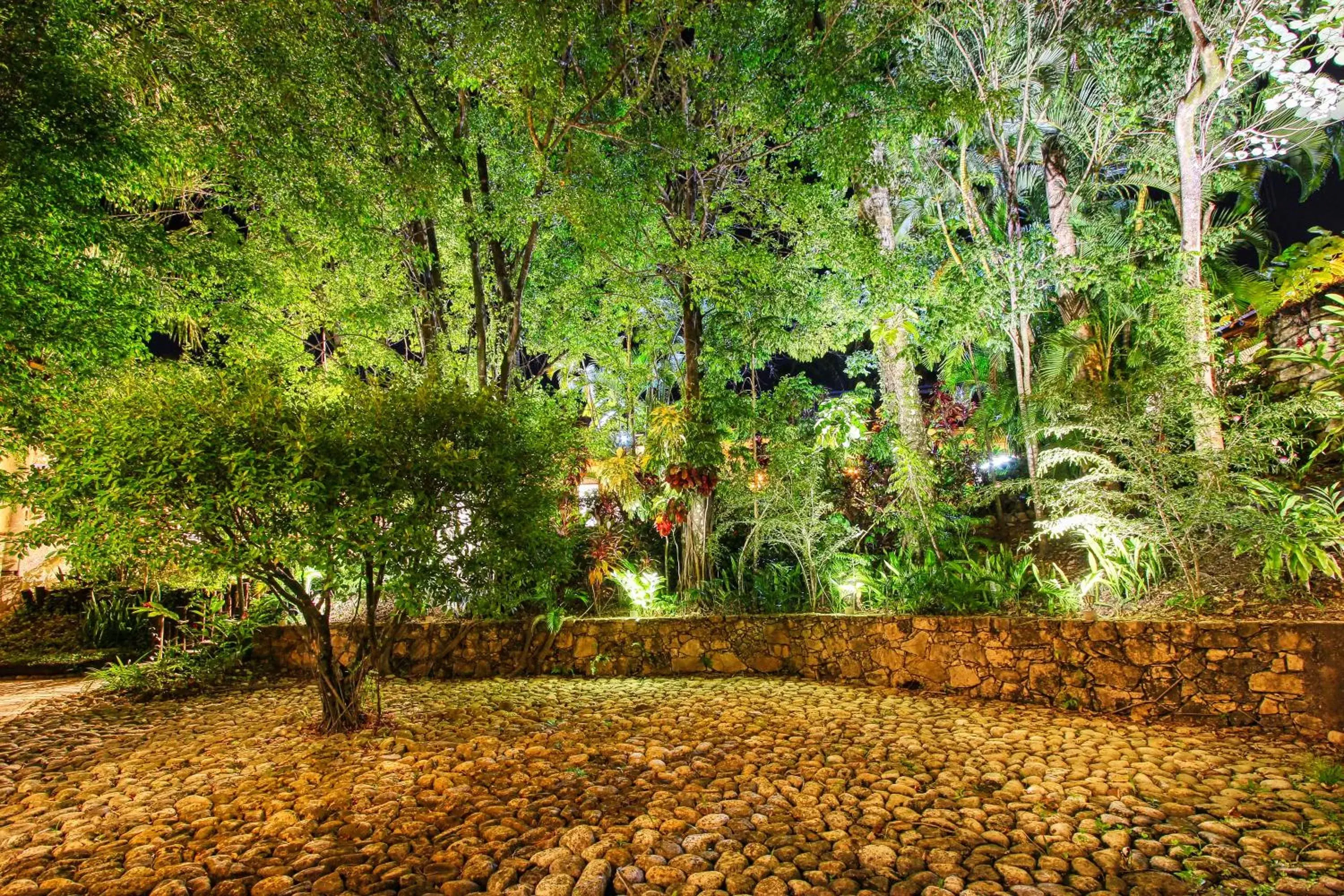 Garden in Hotel Ciudad Real Palenque