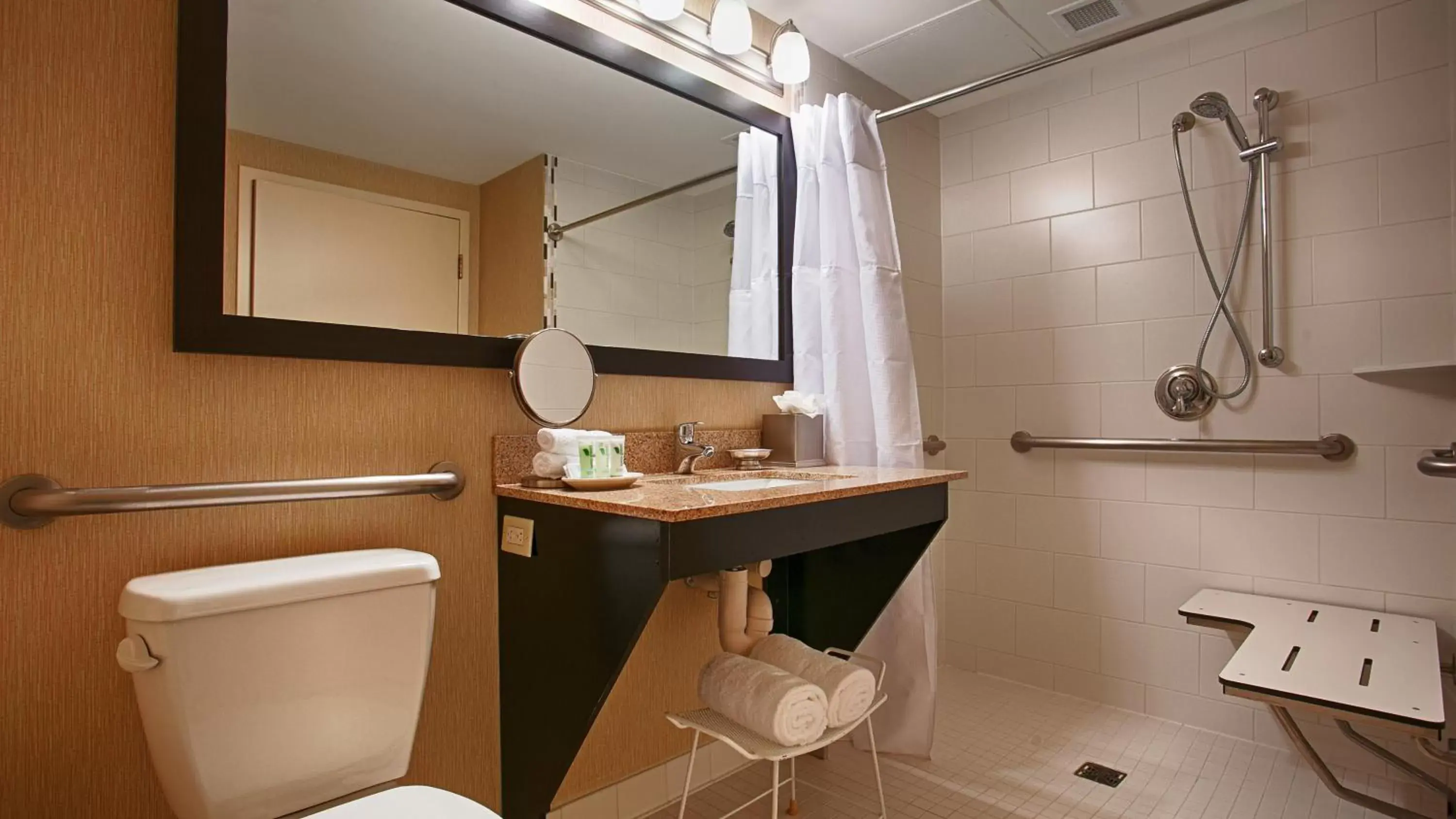 Bathroom in Best Western Premier Nicollet Inn