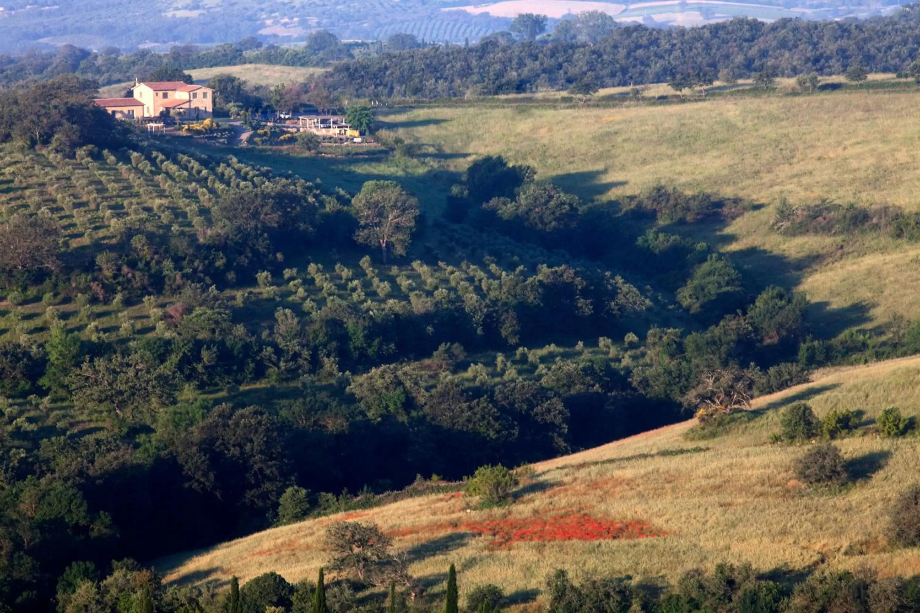 View (from property/room), Bird's-eye View in Casale Sterpeti