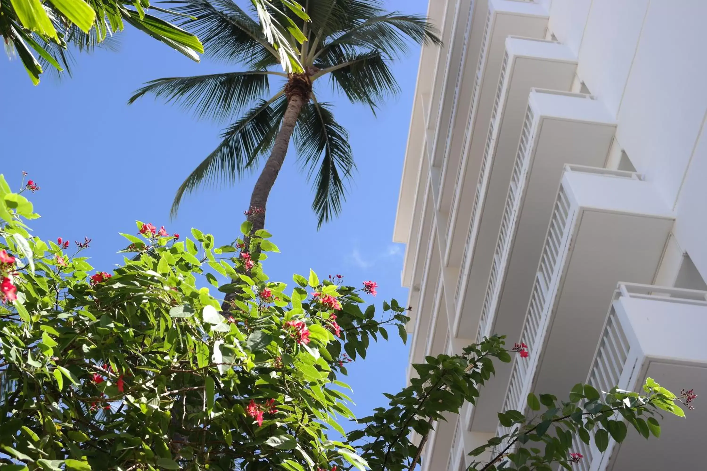 Balcony/Terrace, Property Building in Aqua Oasis