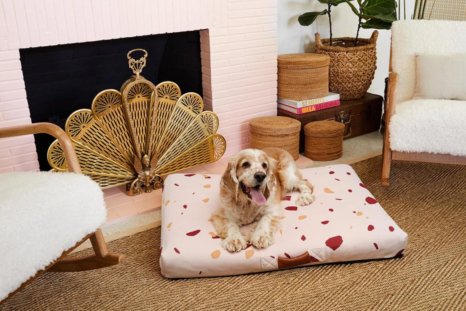 Lobby or reception in Les Cactus