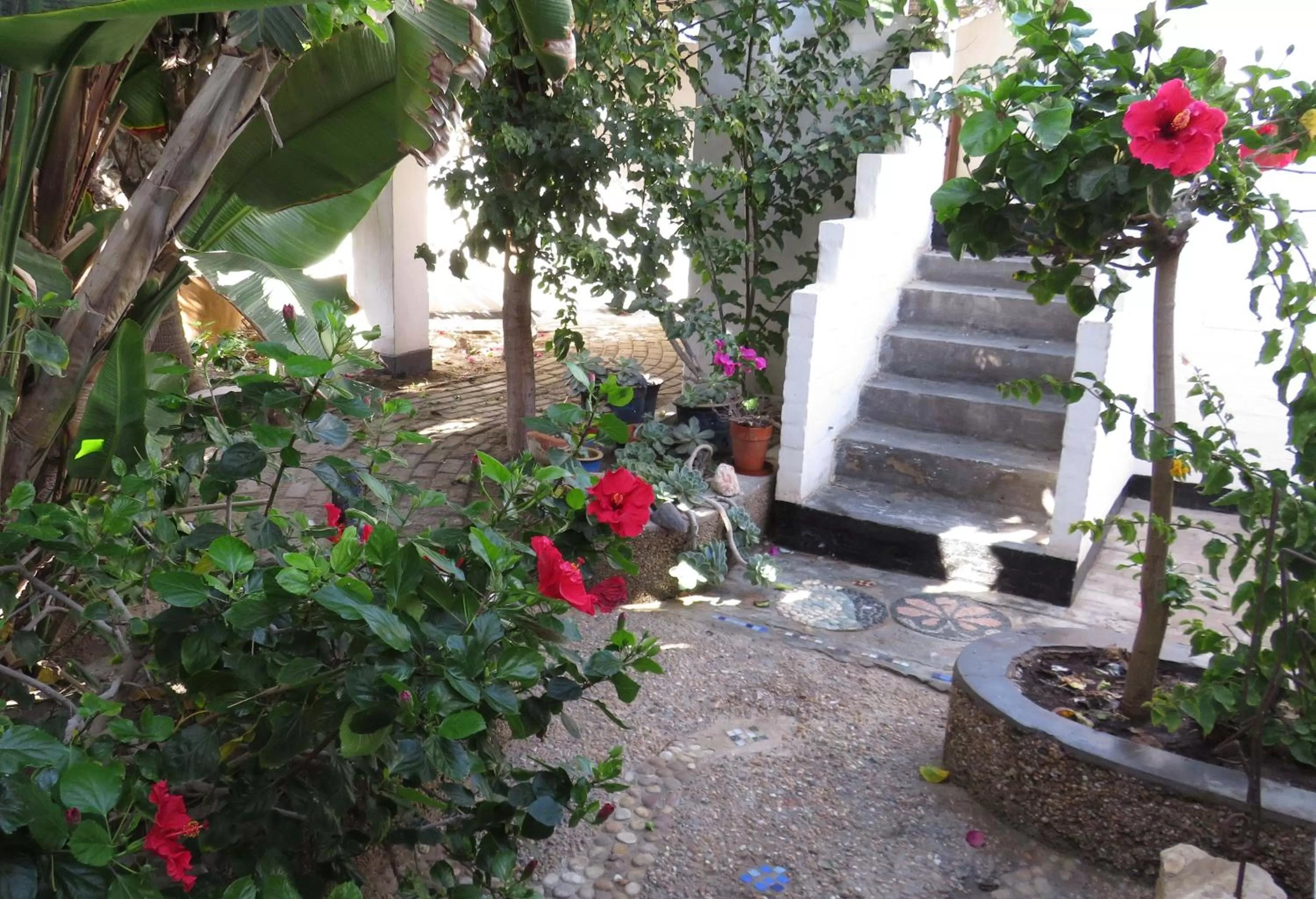 Garden in Alternative Space B & B