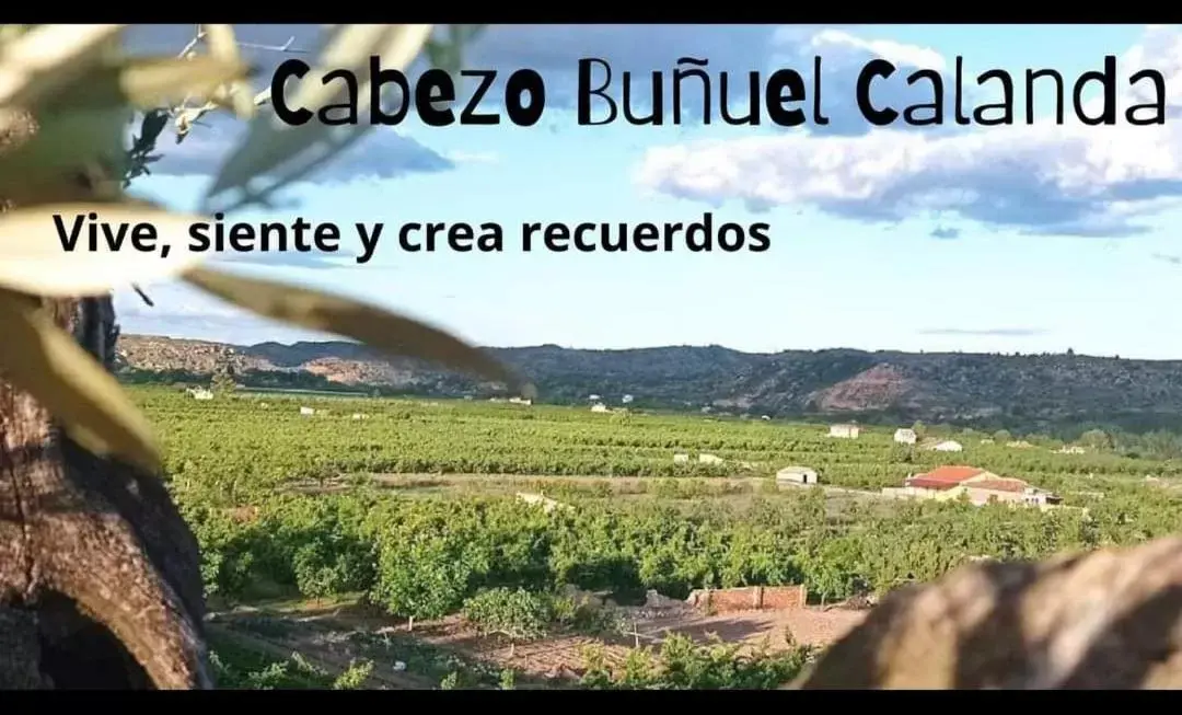 Natural landscape in Cabezo Buñuel Hostal