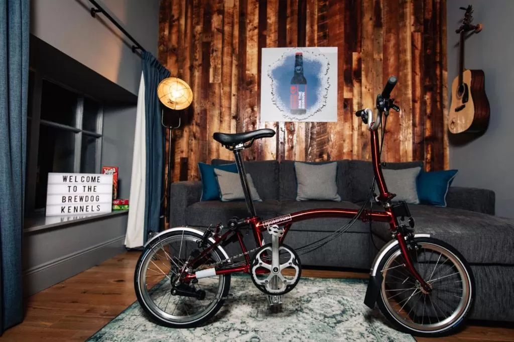 Activities in BrewDog Kennels - Aberdeen