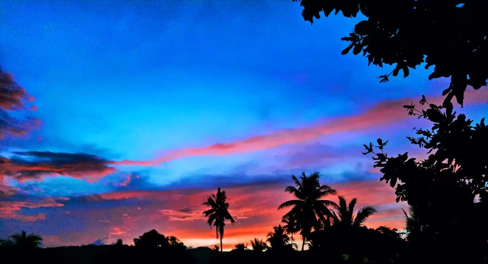 SmallFry's Beach Resort