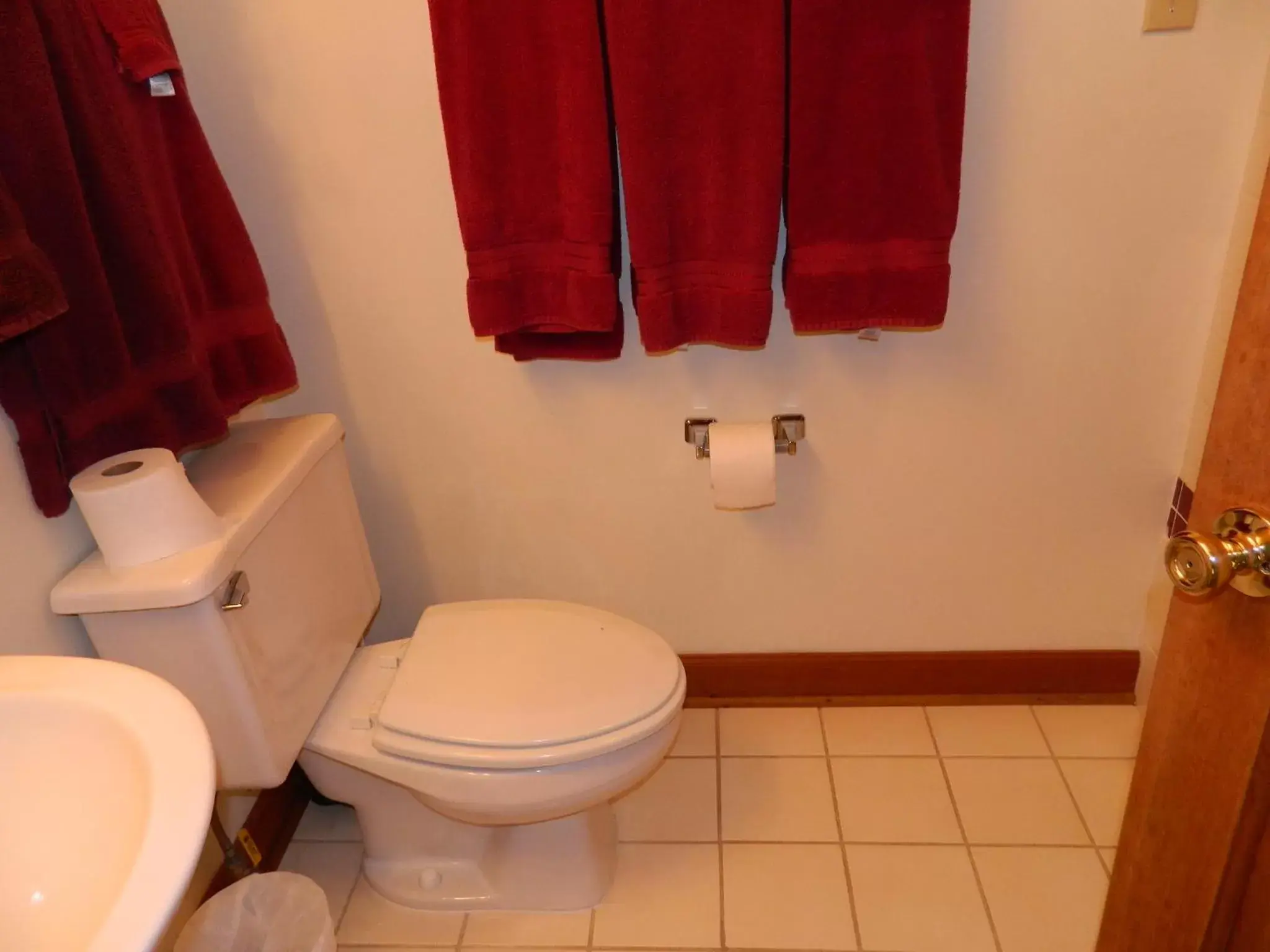 Bathroom in Bent Mountain Lodge Bed And Breakfast, Inc.