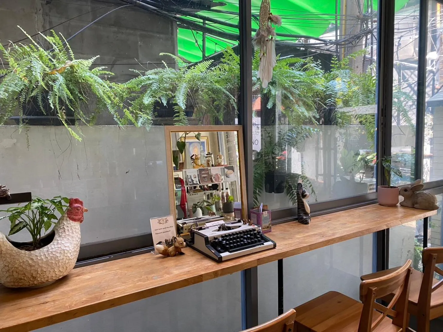 Garden in Good Day Hostel