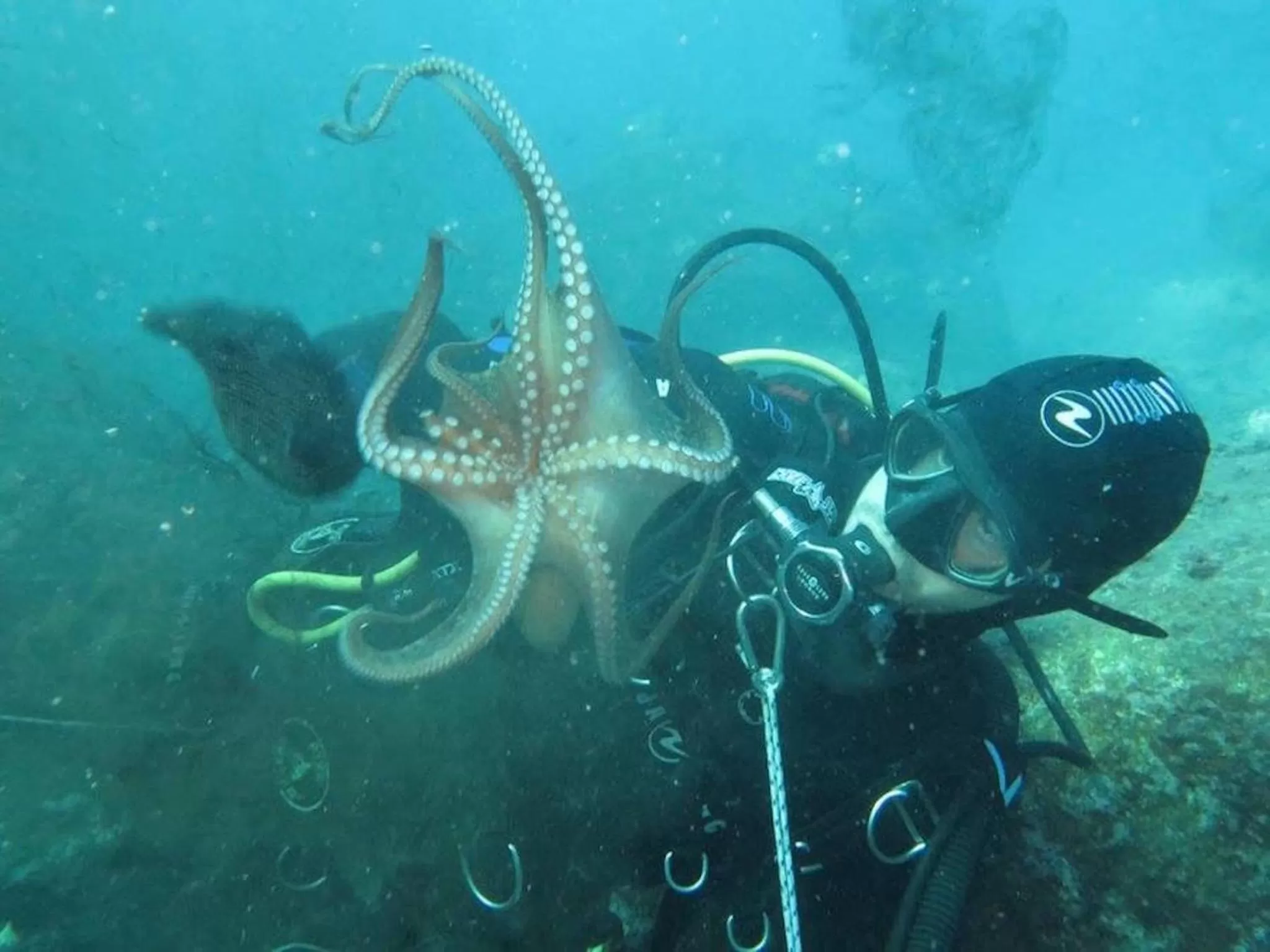 Diving in b&b Casa di Antonio_Etna Vacanze