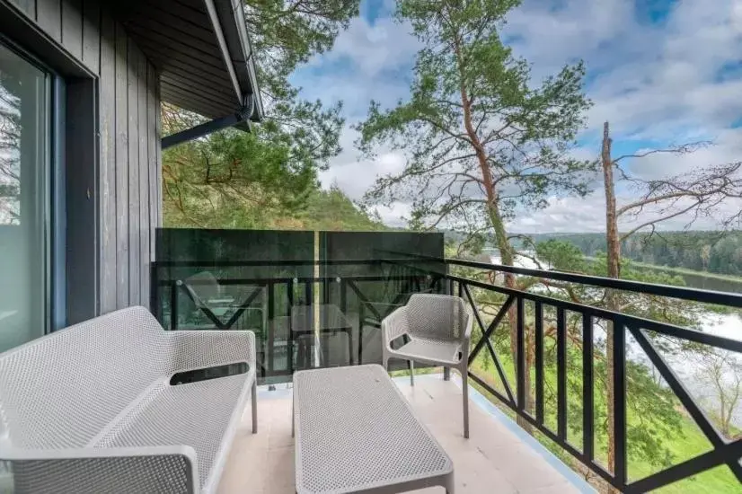 Apartment with Balcony in "Seklytele" apartments Apartment with Balcony in "Seklytele" apartments