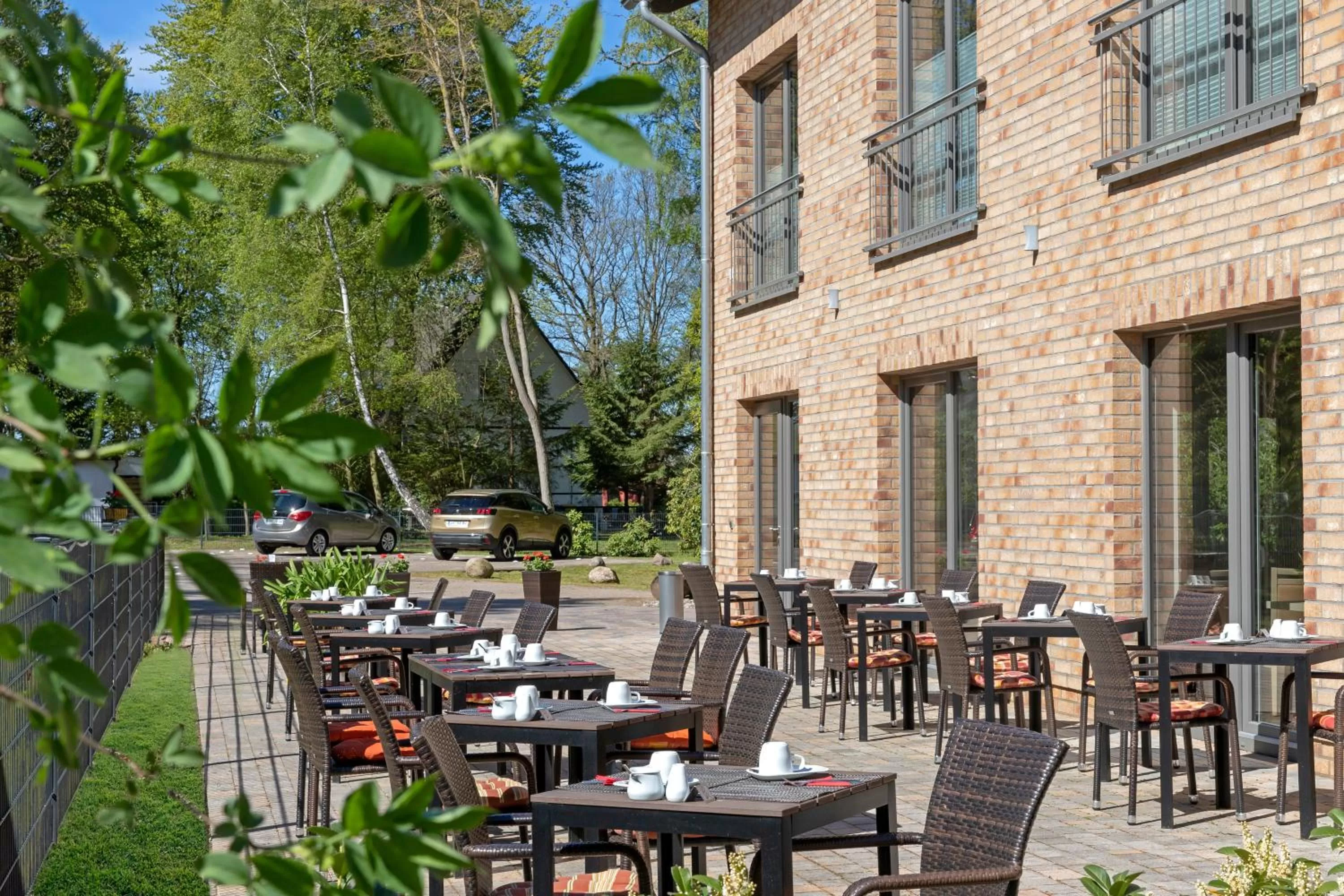 Food and drinks in Hotel zur Ostsee