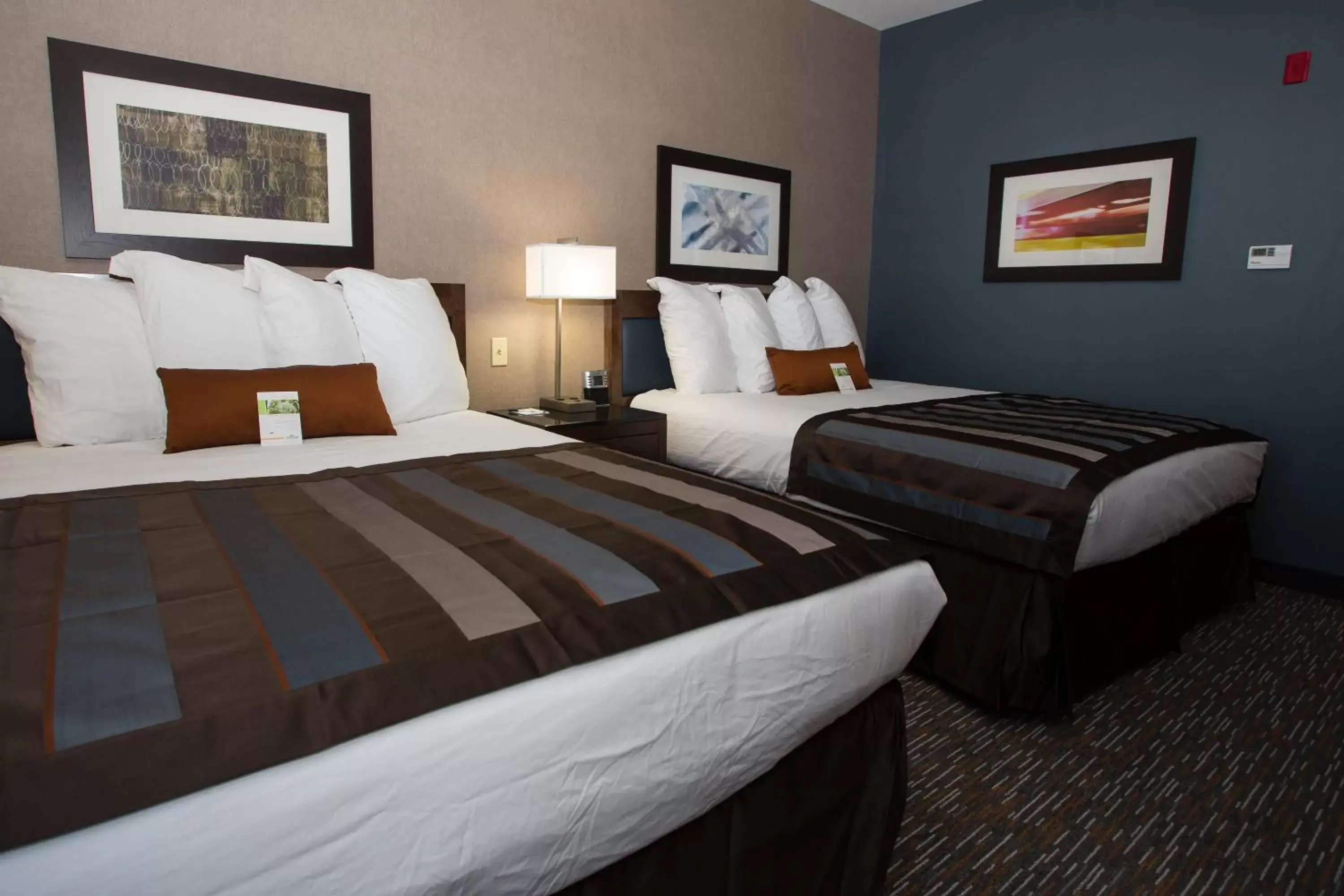 Queen Room with Two Queen Beds - Disability Access/Non-Smoking in Wingate by Wyndham - Bismarck