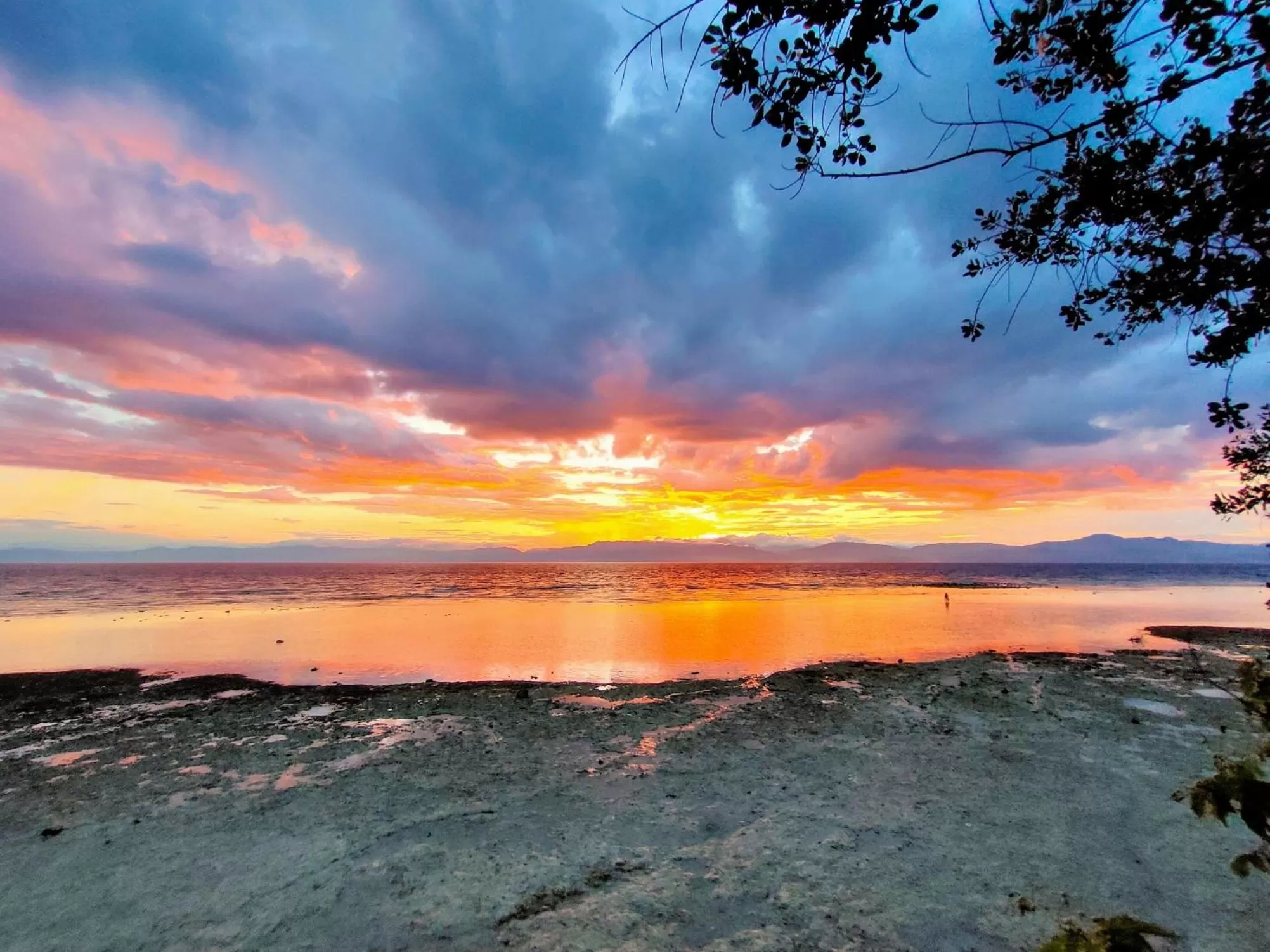 Moalboal T Breeze Coastal Resort