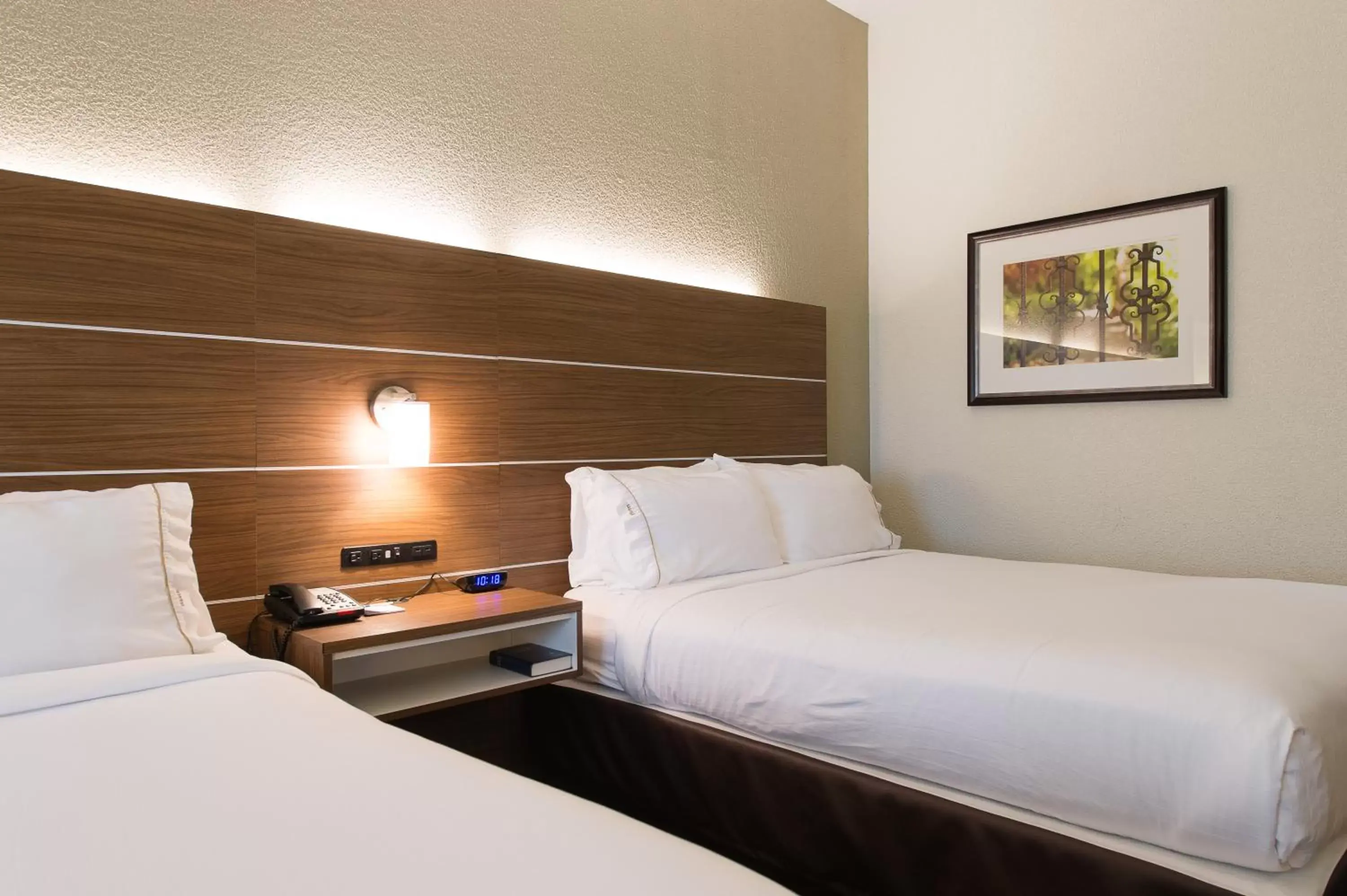 Bedroom, Bed in Holiday Inn Express & Suites Walterboro, an IHG Hotel