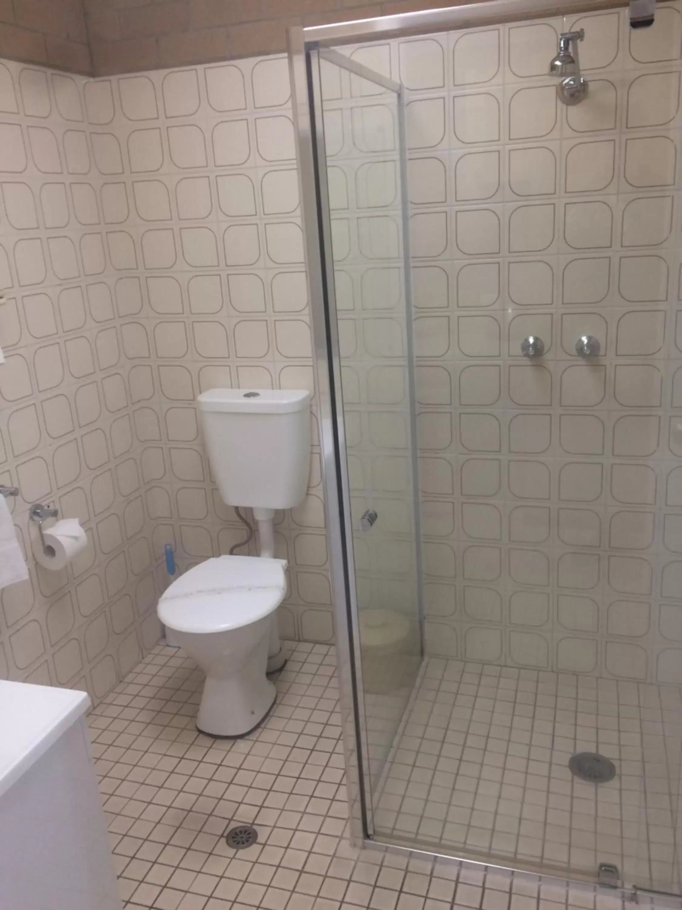 Shower, Bathroom in Alexander Motor Inn