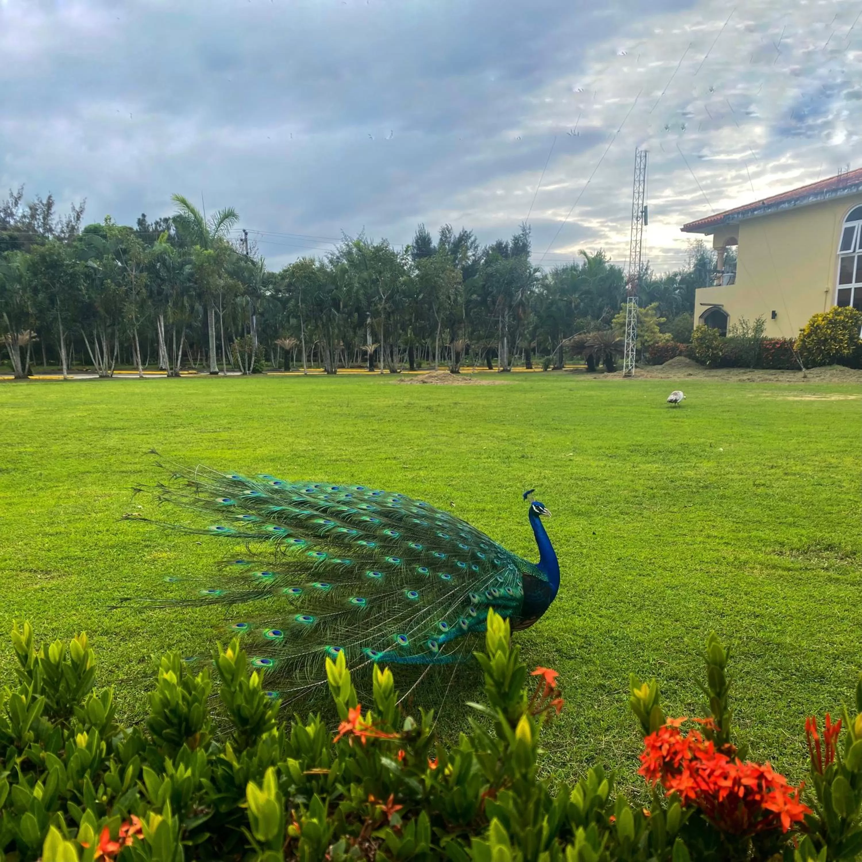 La Ensenada Beach Resort