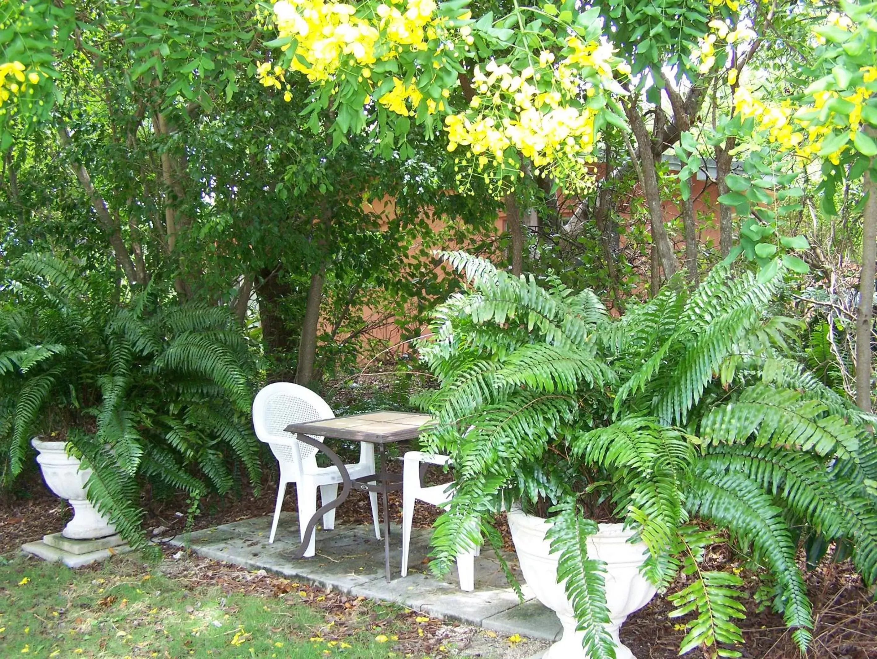 Patio in Rock Reef Resort