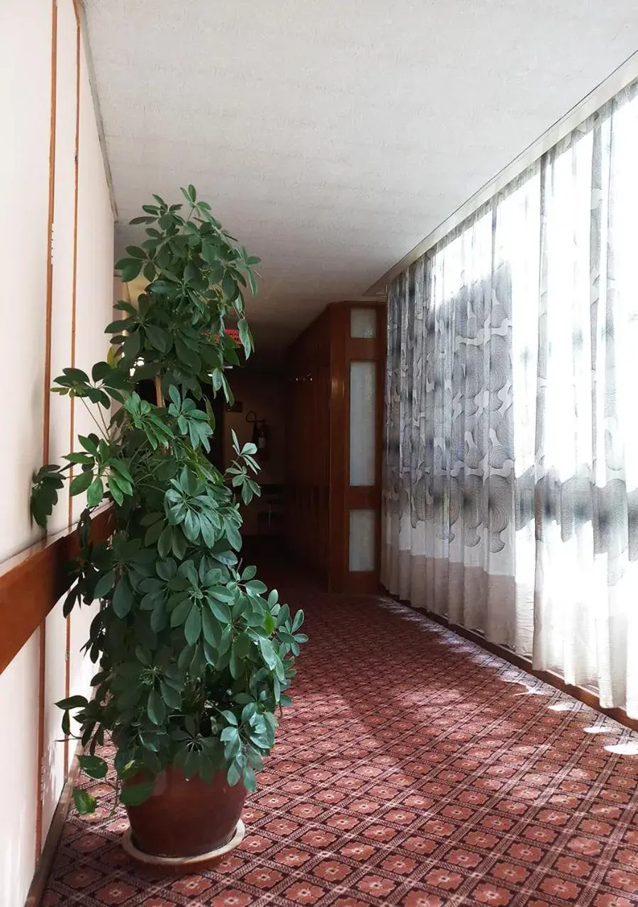 Balcony/Terrace in Oriental Palace Hotel