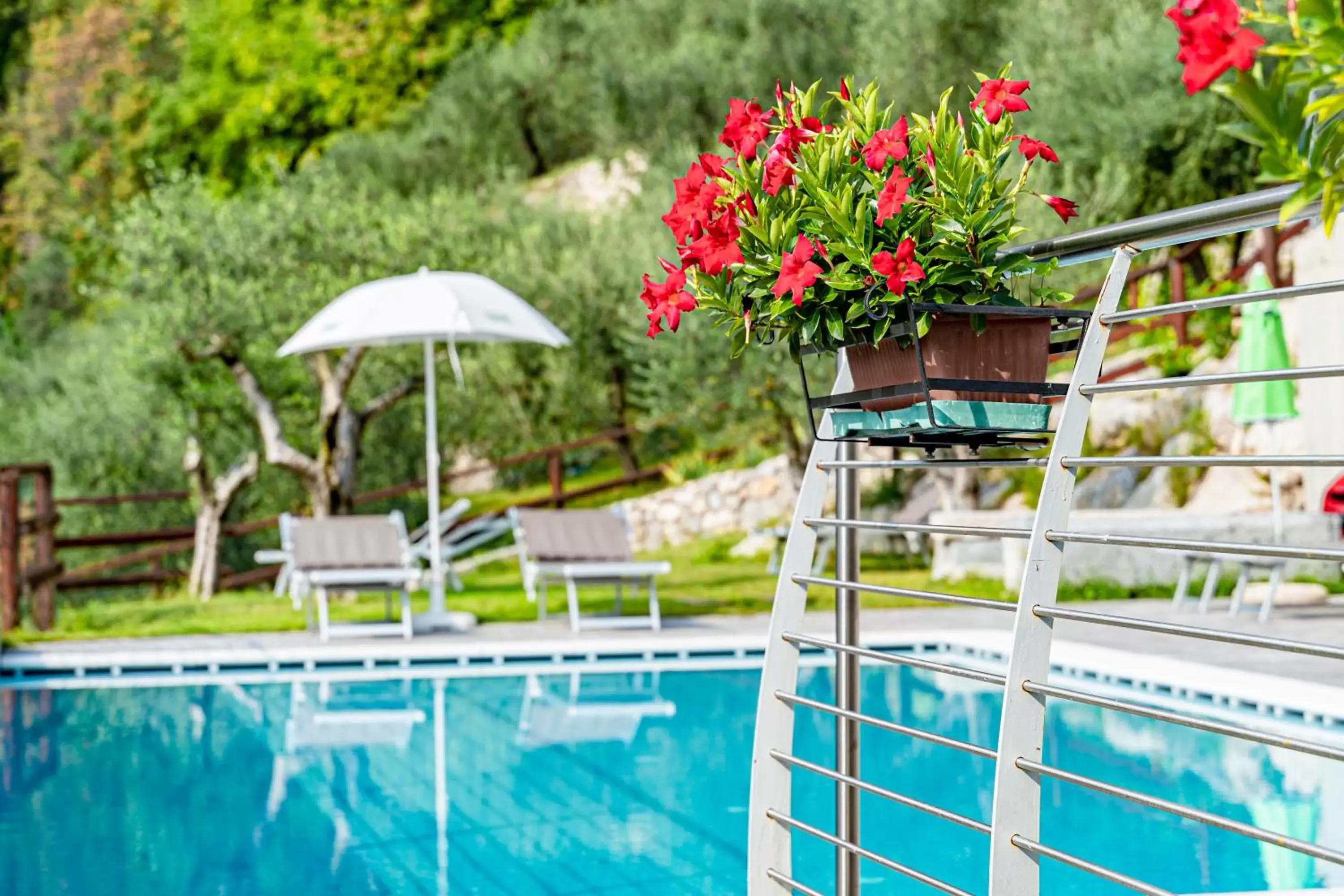 Swimming Pool in GARNI' FOCI