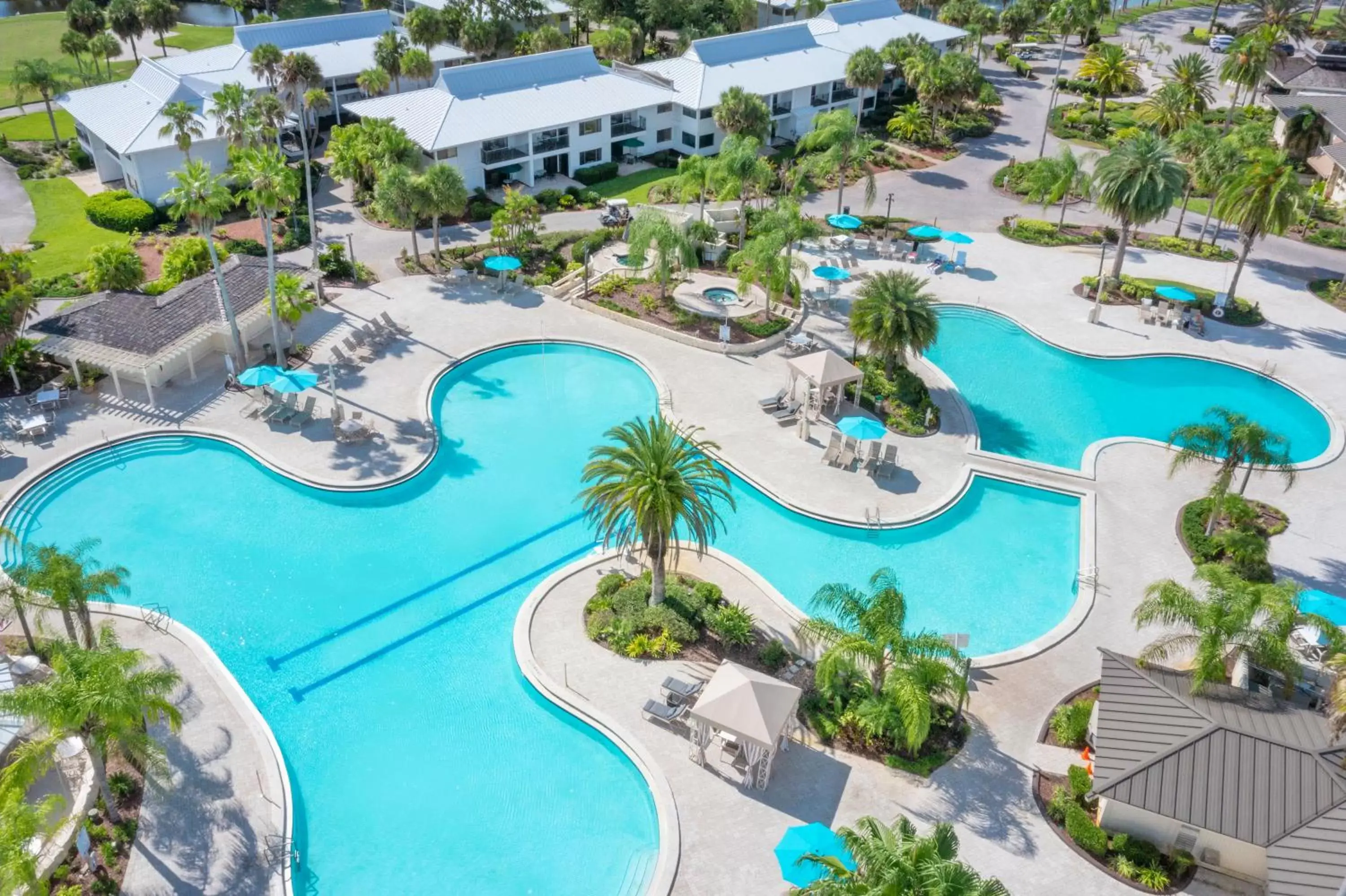 Bird's eye view, Pool View in Saddlebrook Golf Resort & Spa Tampa North-Wesley Chapel