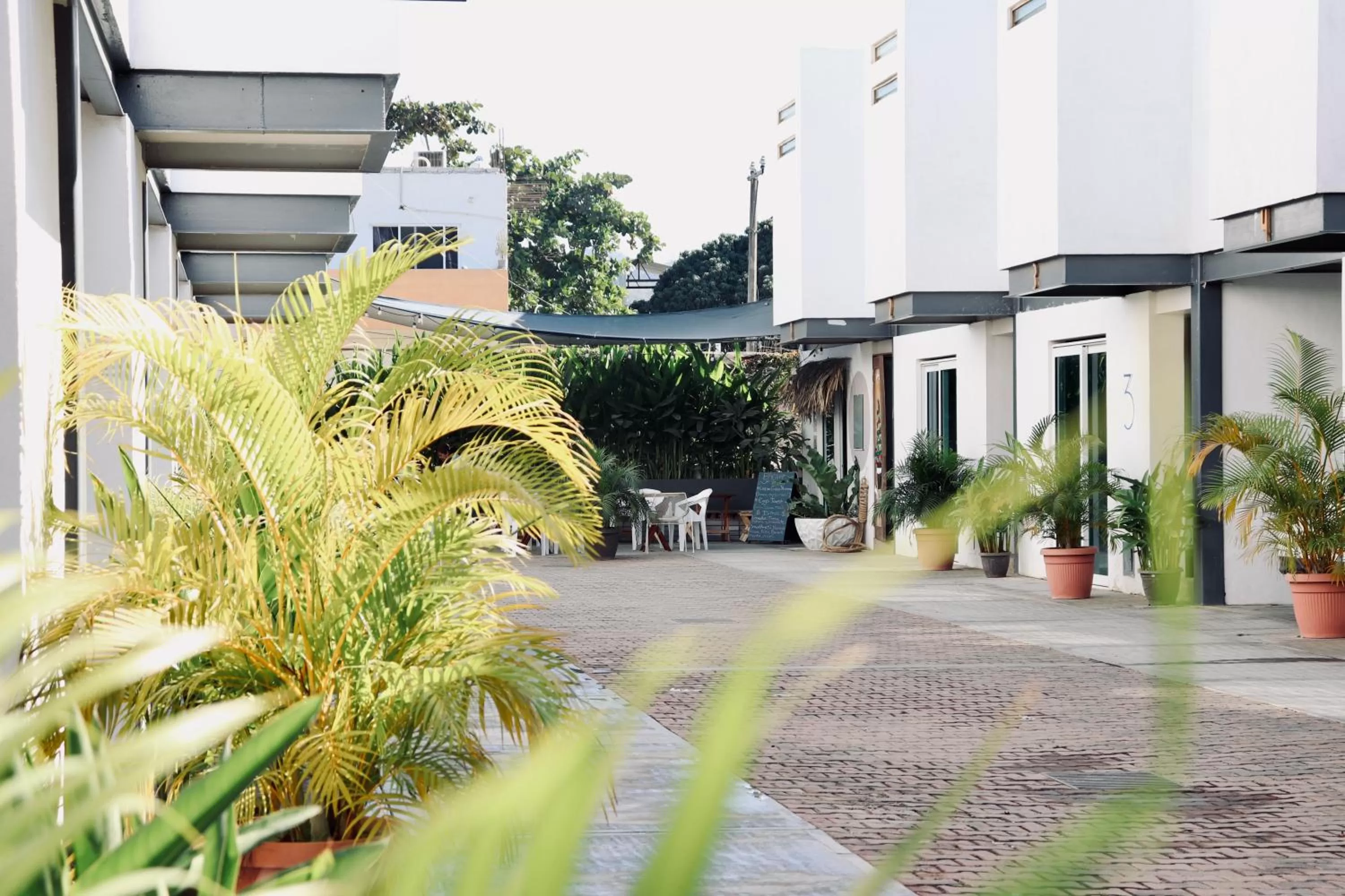 Restaurant/places to eat in Hotel Samanu