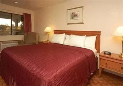 King Room in Quality Inn & Suites Gilroy