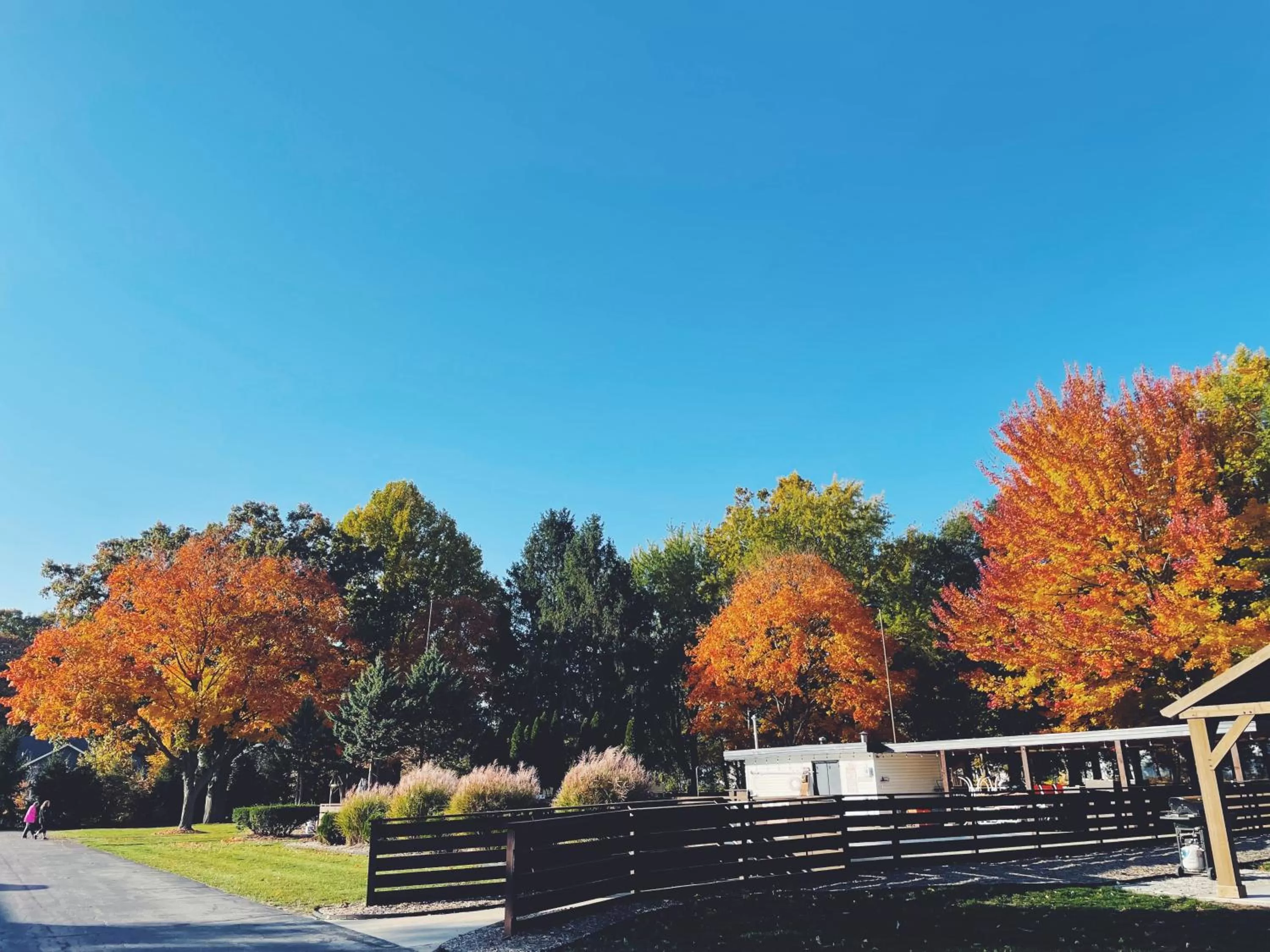 Pool view in Starlite Resort