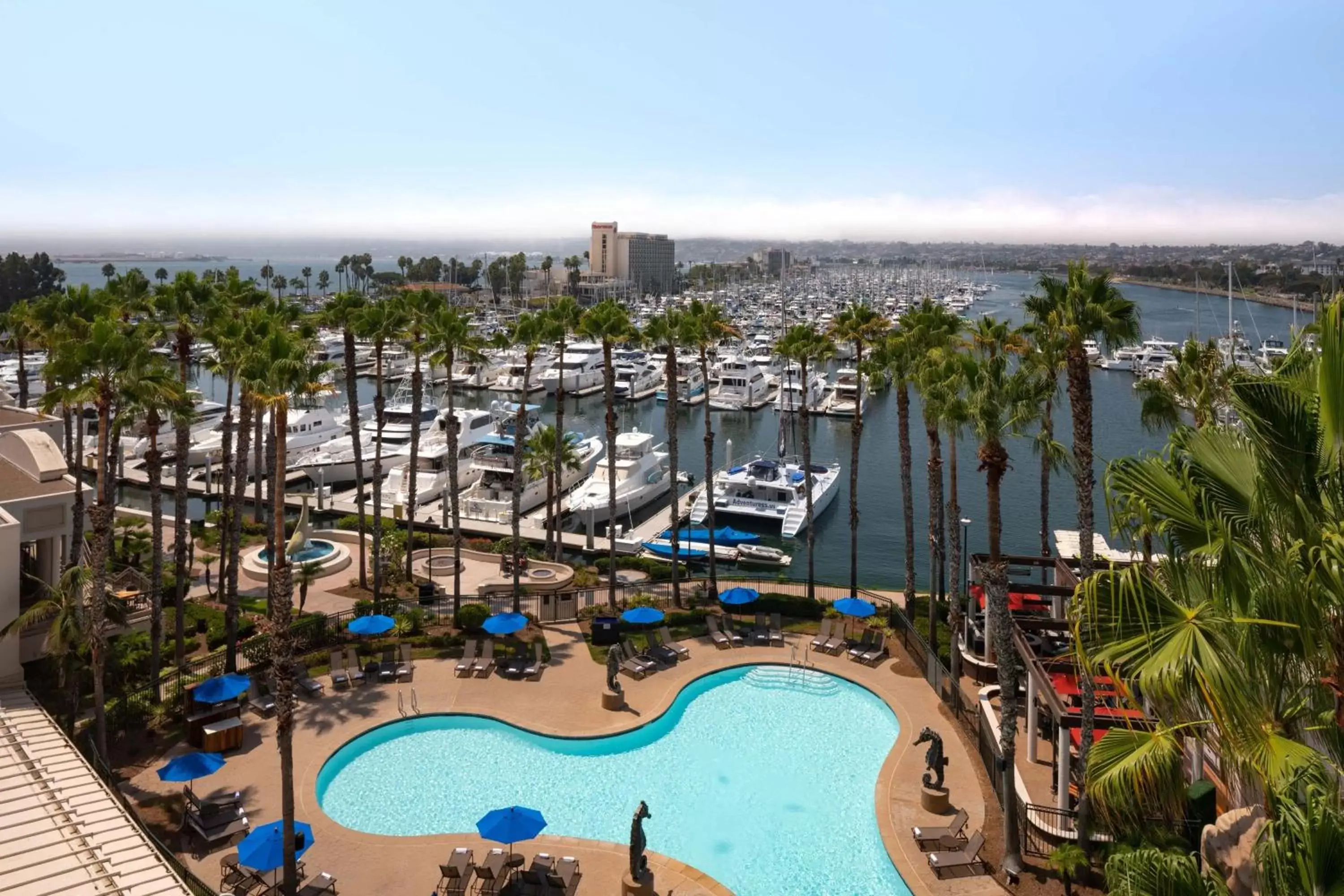 Swimming pool, Pool View in Sheraton San Diego Hotel & Marina
