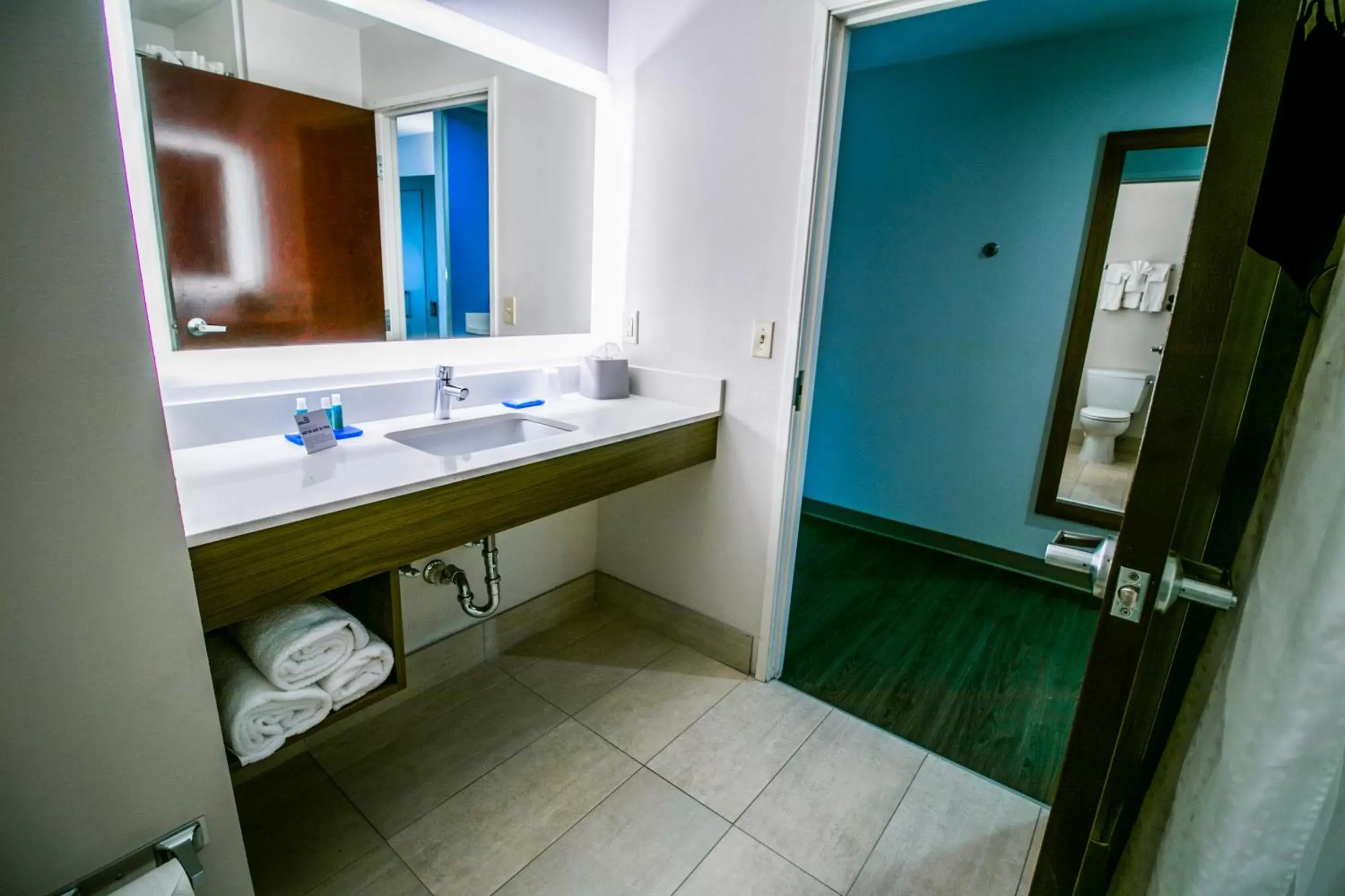 Photo of the whole room, Bathroom in Holiday Inn Express Hotel & Suites Baton Rouge -Port Allen, an IHG Hotel