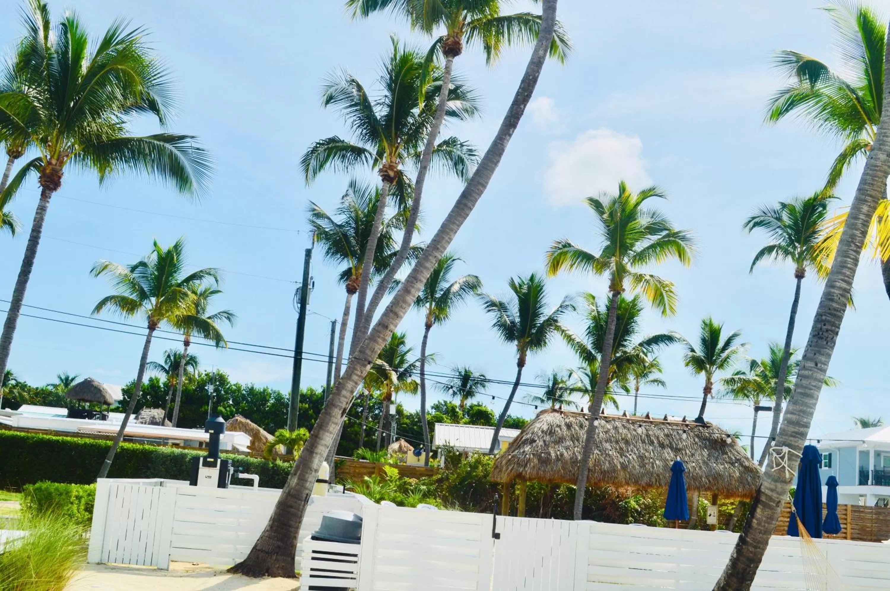 Garden in Drop Anchor Resort & Marina