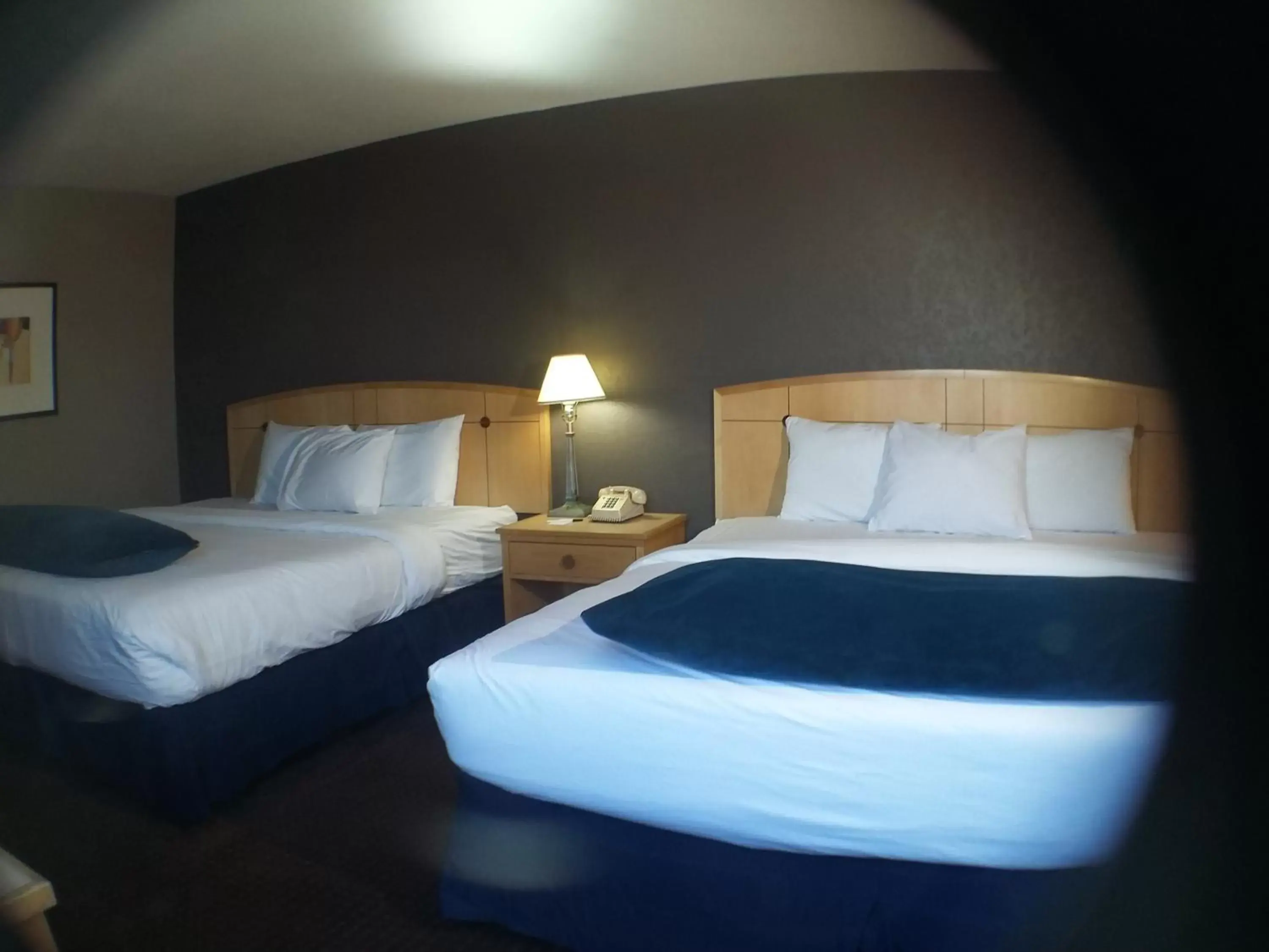 Photo of the whole room, Bed in Travelodge by Wyndham Memphis Airport/Graceland